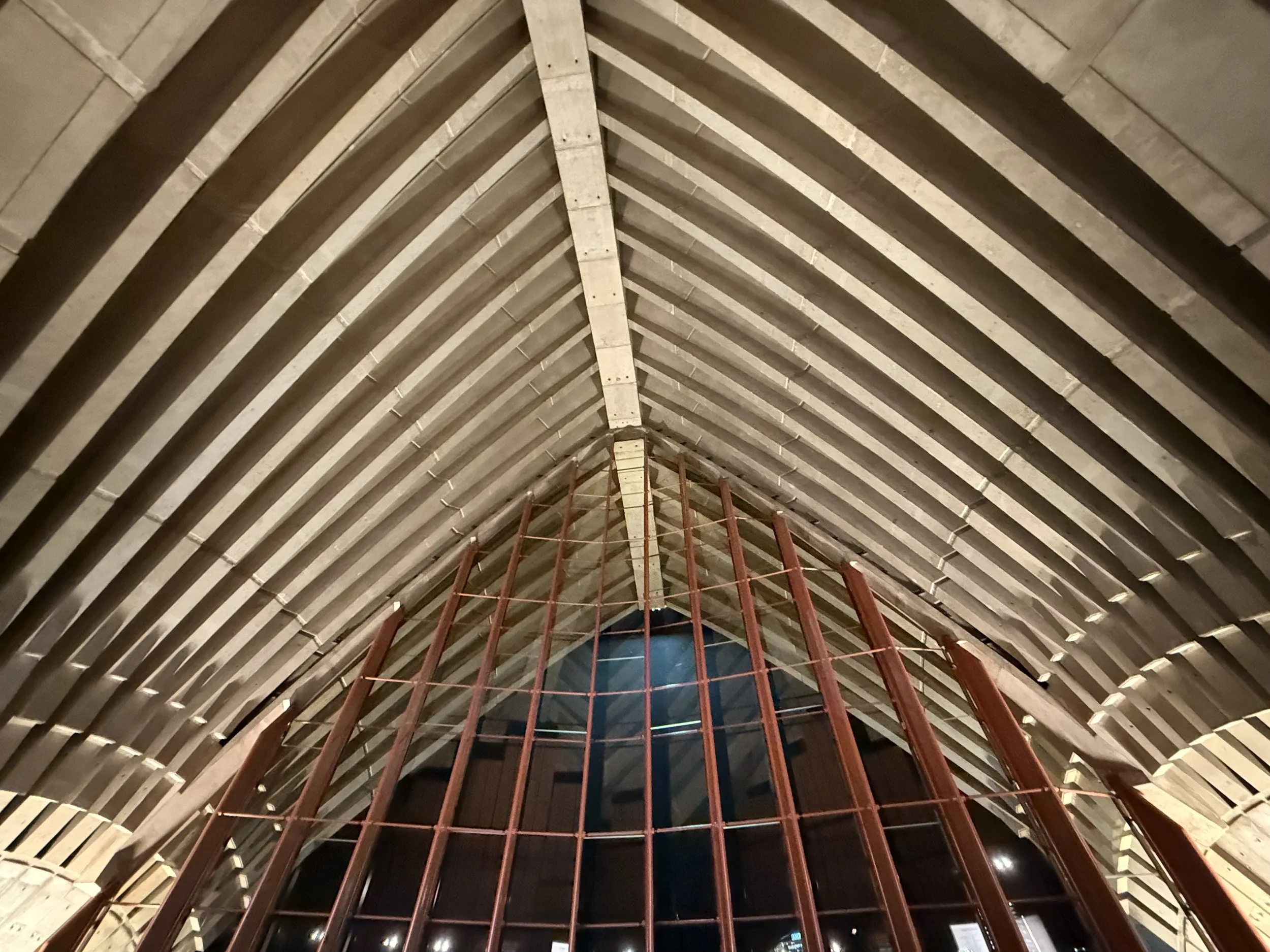 IMG_1908.jpeg