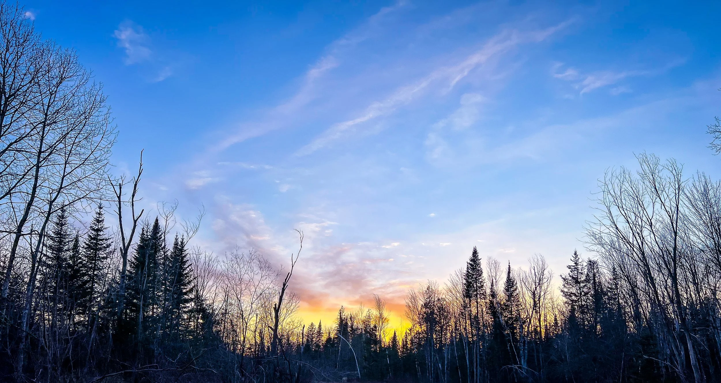 Crystal Brook Camping