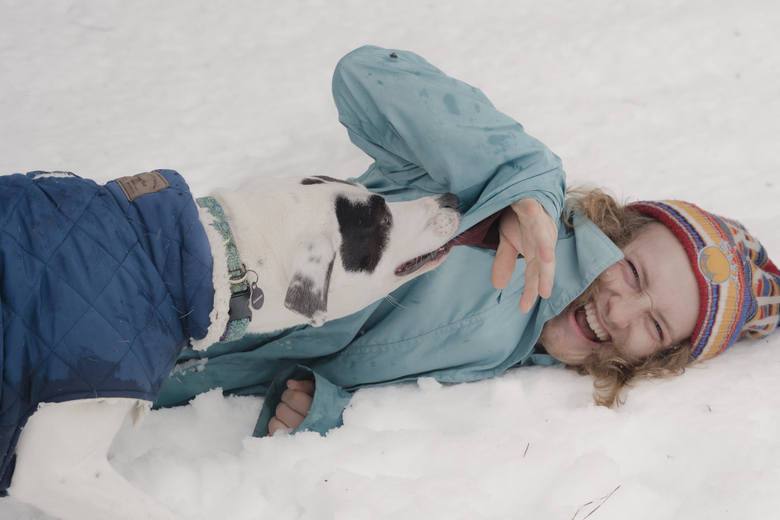 Pets-233.jpg