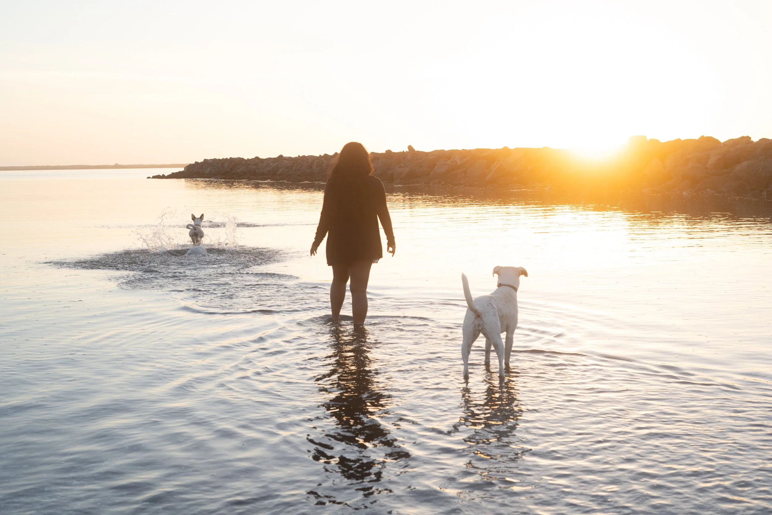 Pets-197.jpg