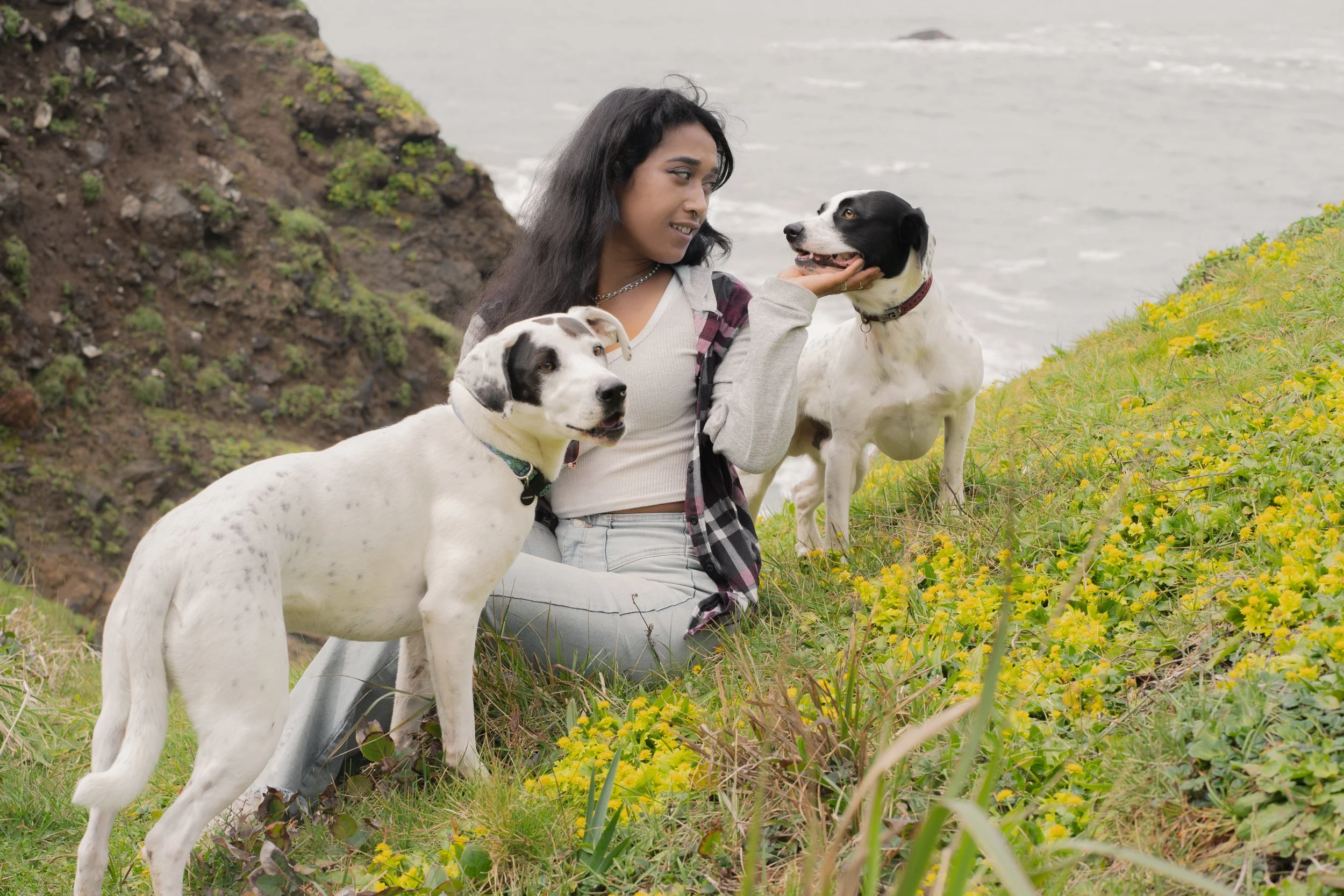 Pets-1.jpg