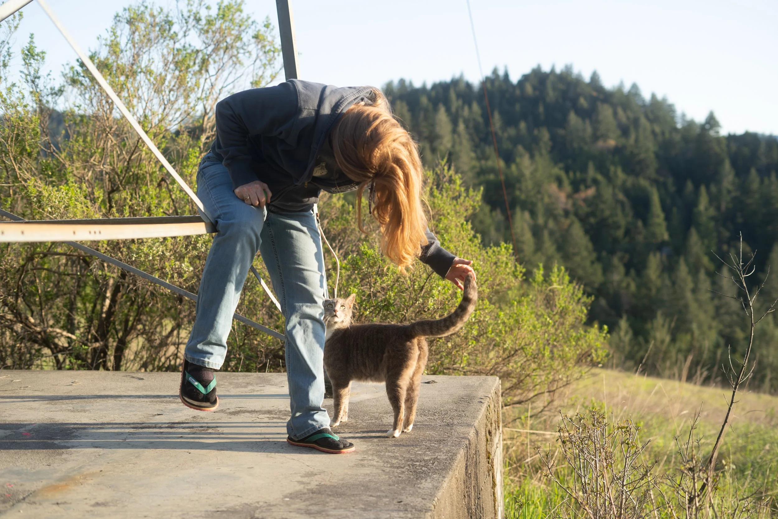 Pets-169.jpg