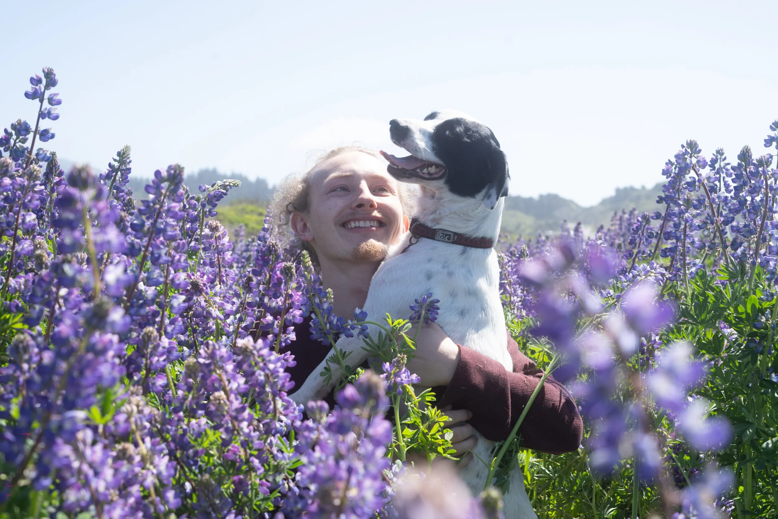 Pets-187.jpg