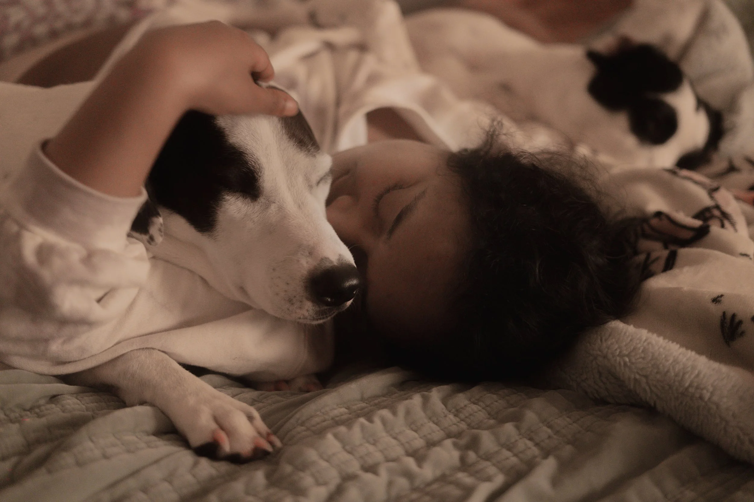 Pets-248.jpg