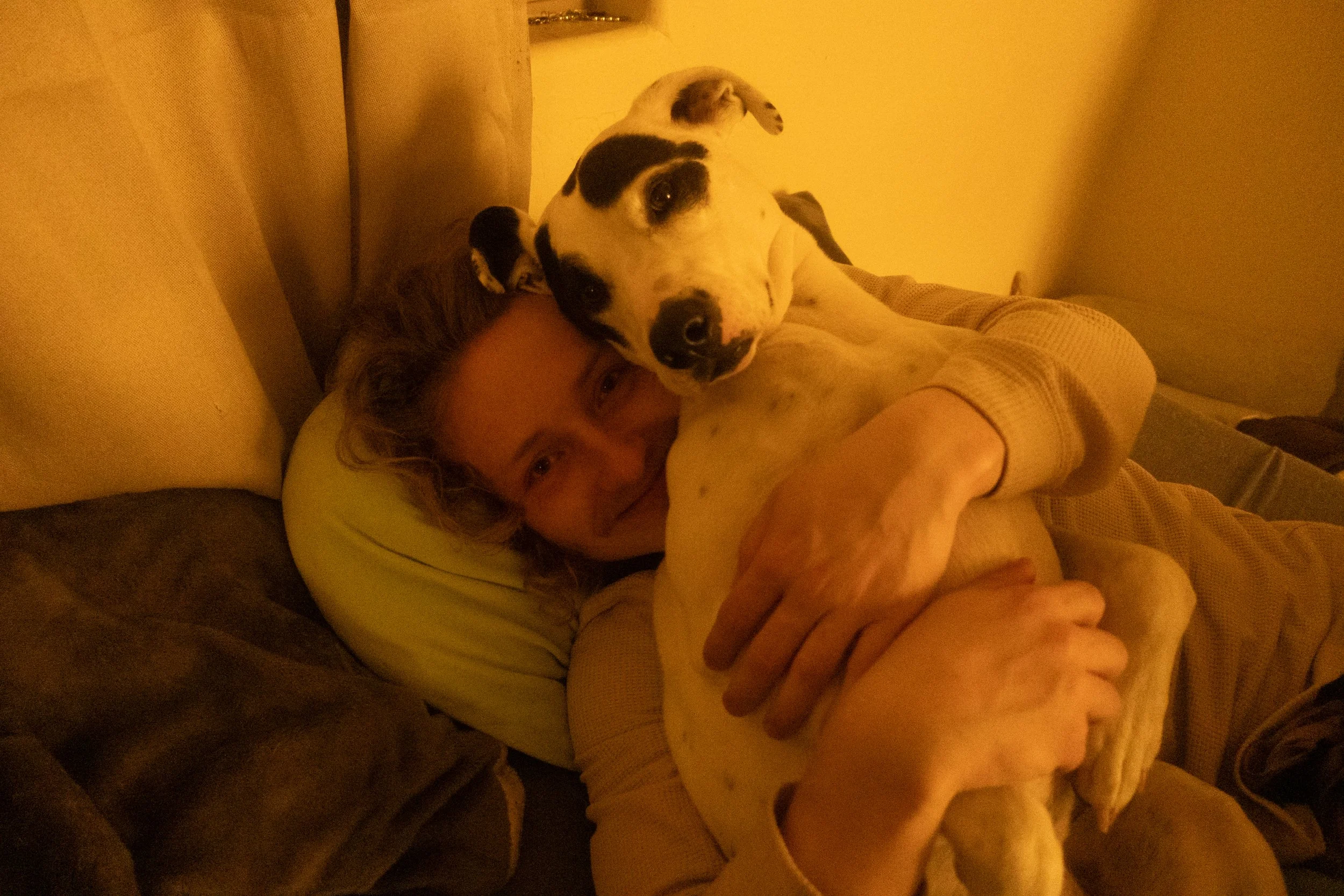Pets-148.jpg