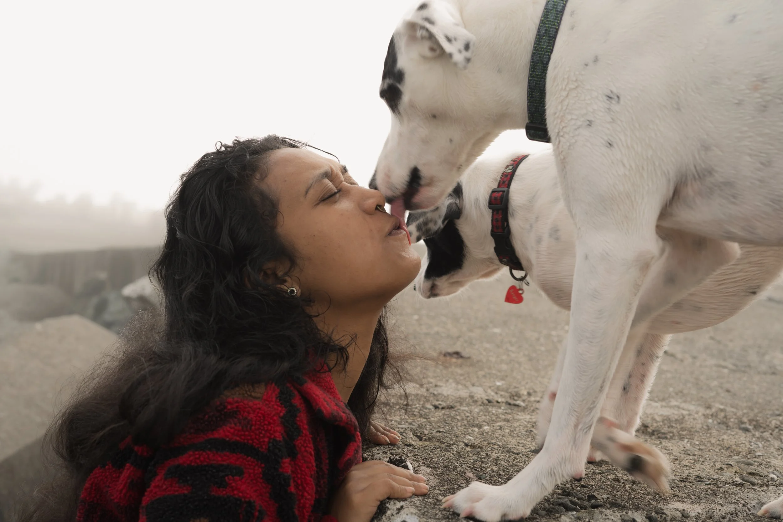 Pets-39.jpg