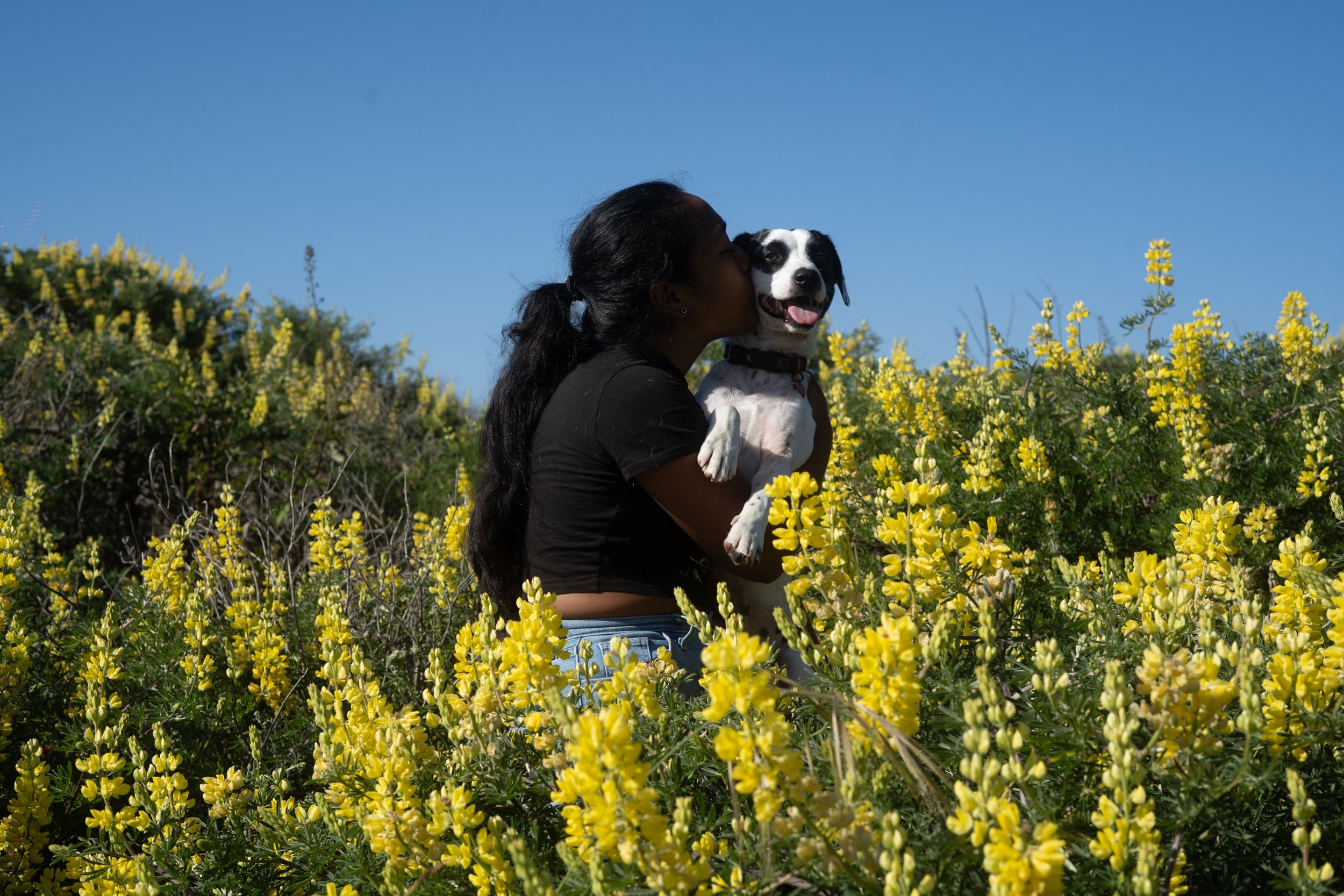 Pets-206.jpg