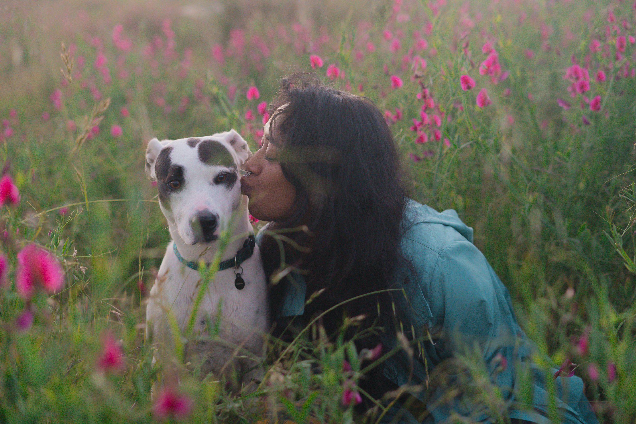 Pets-17.jpg