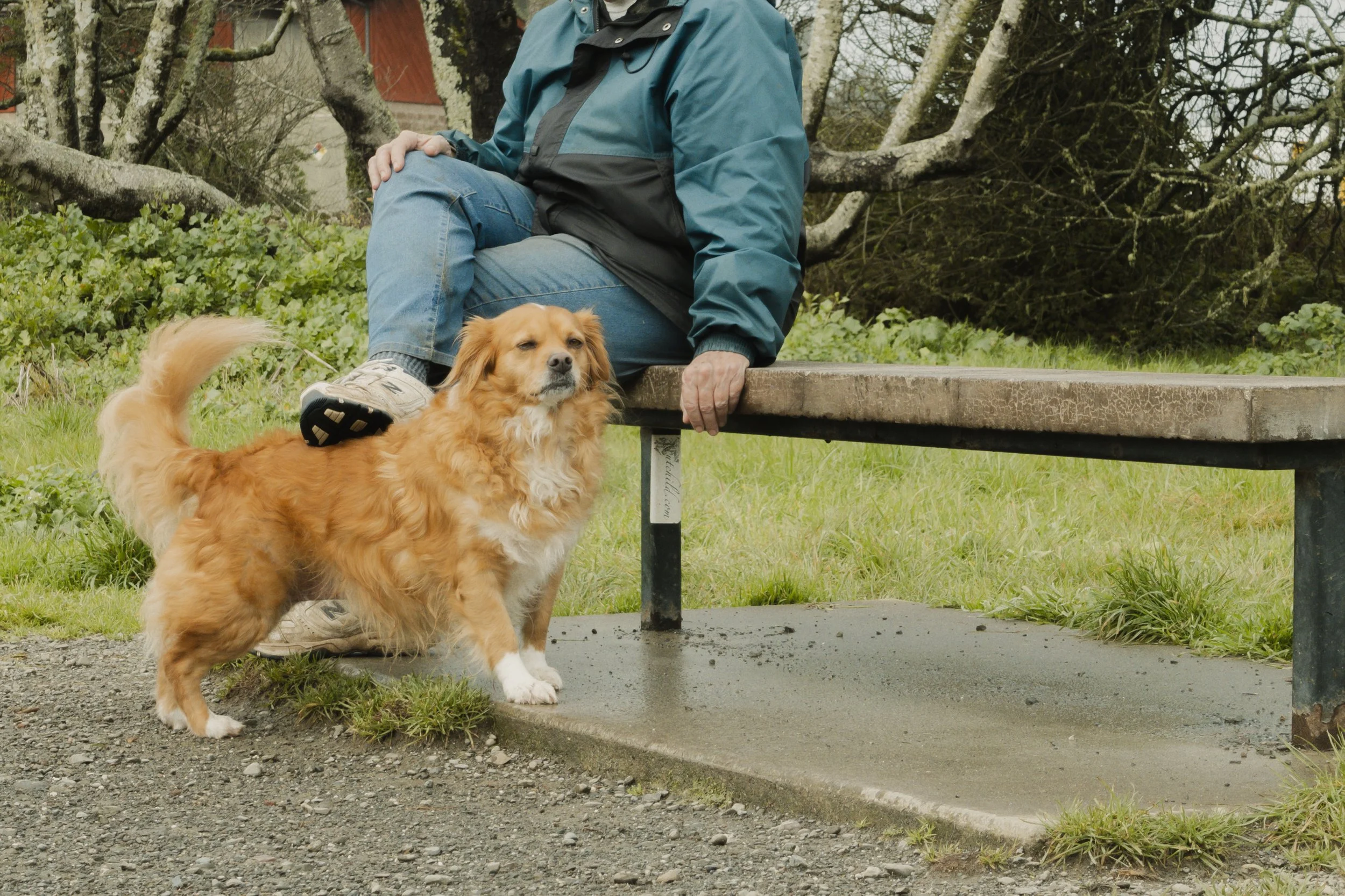 Pets-119.jpg