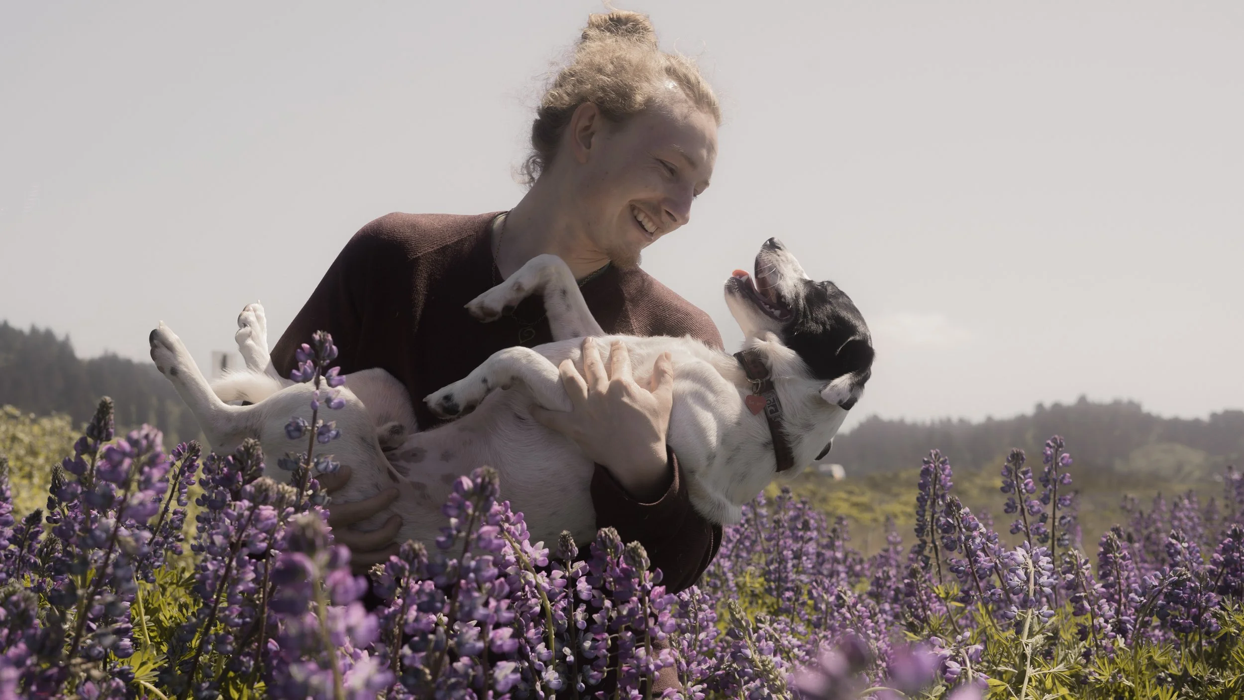 PetCollageOrdered_47.jpg