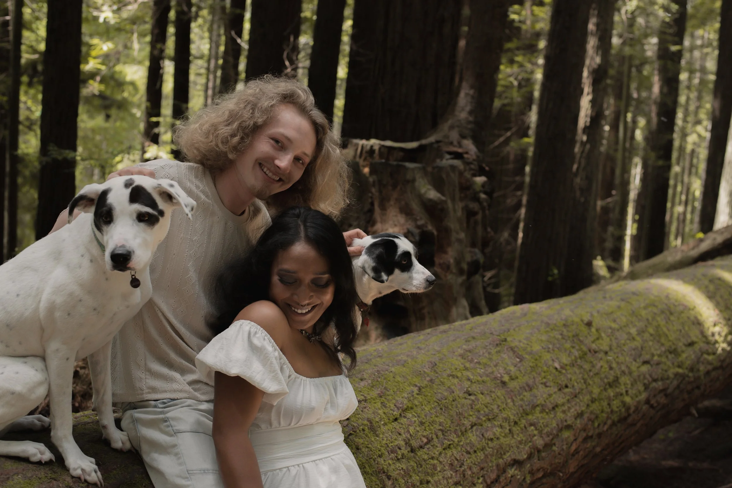 Pets-224.jpg