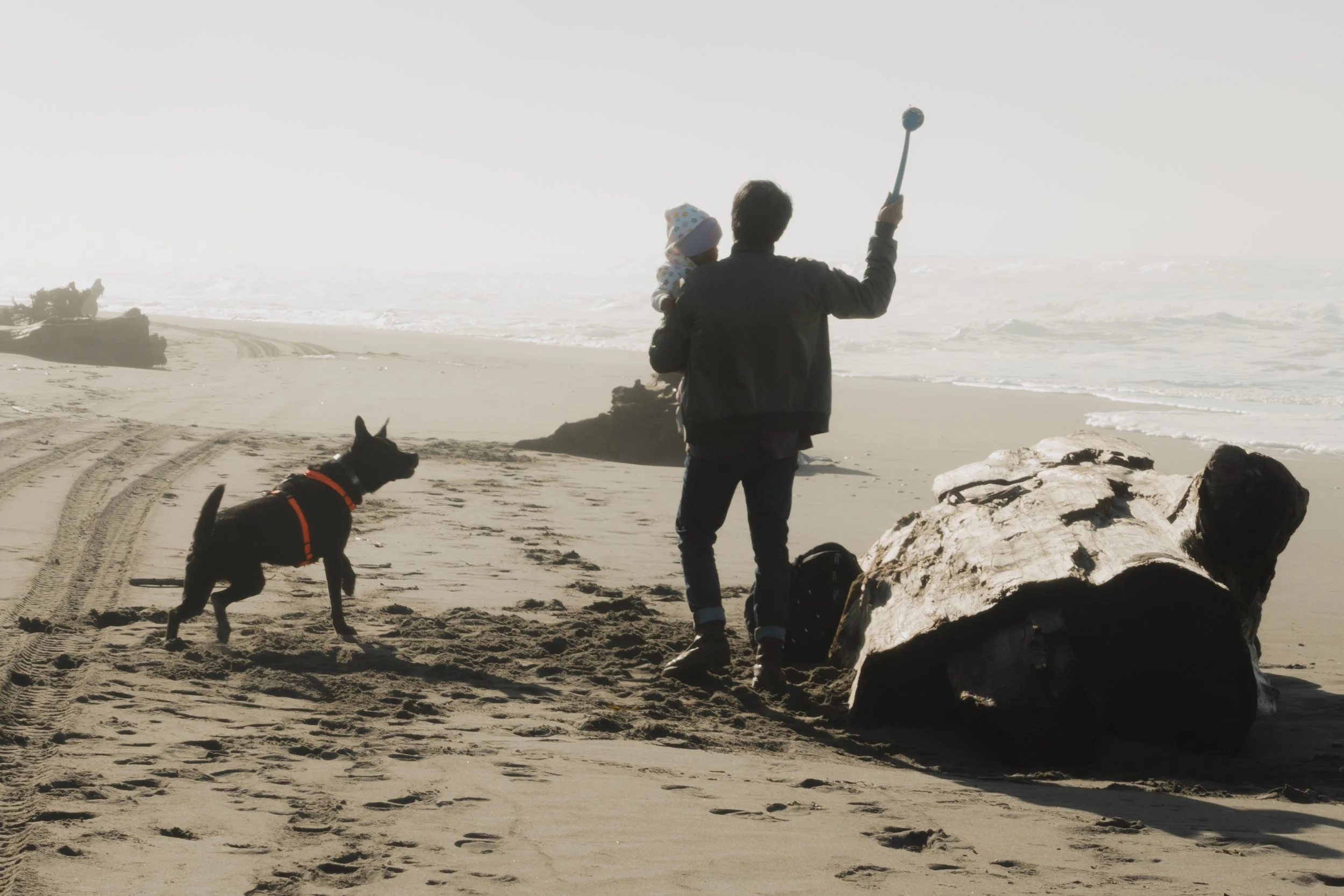 Pets-32.jpg