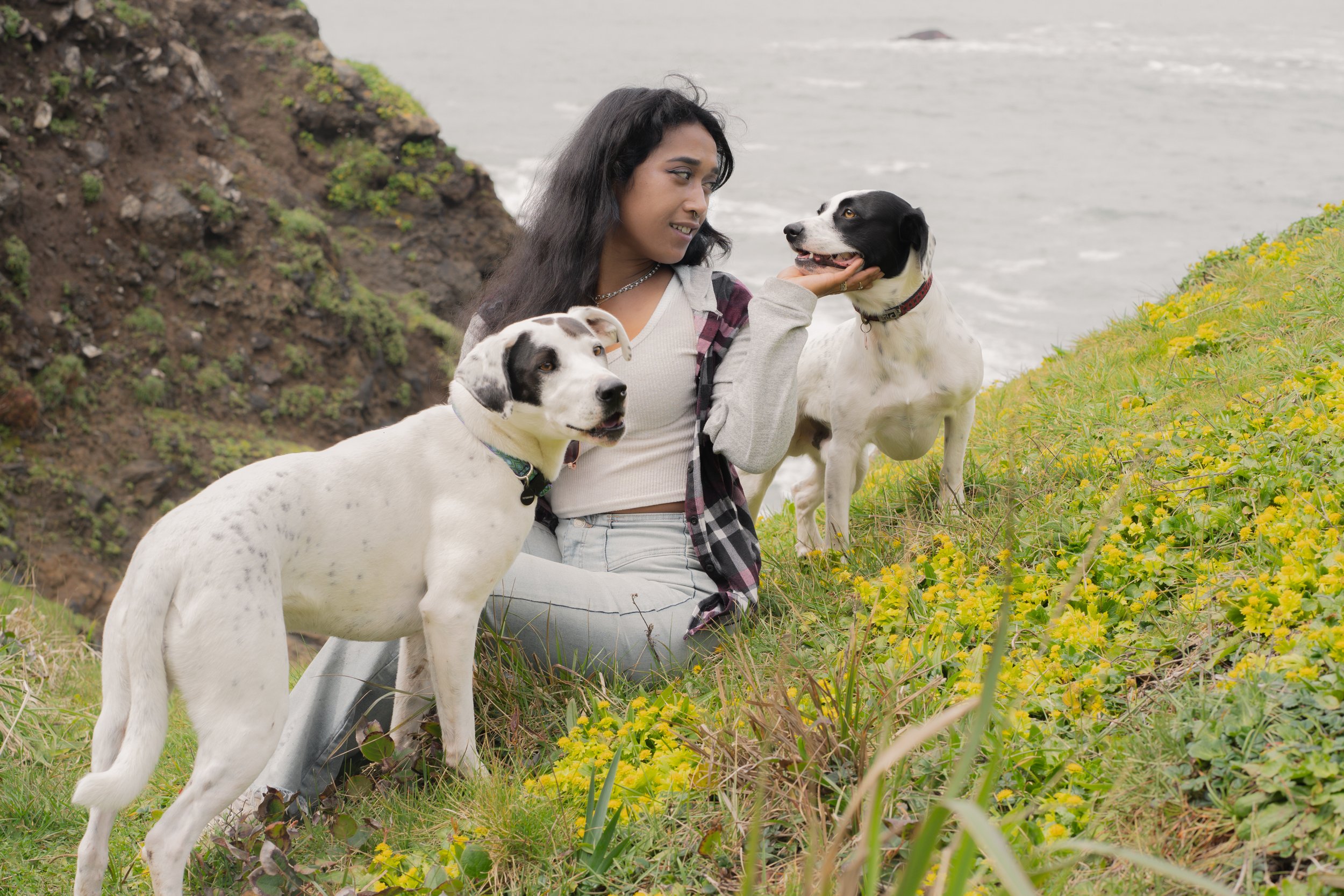 Pets-1.jpg