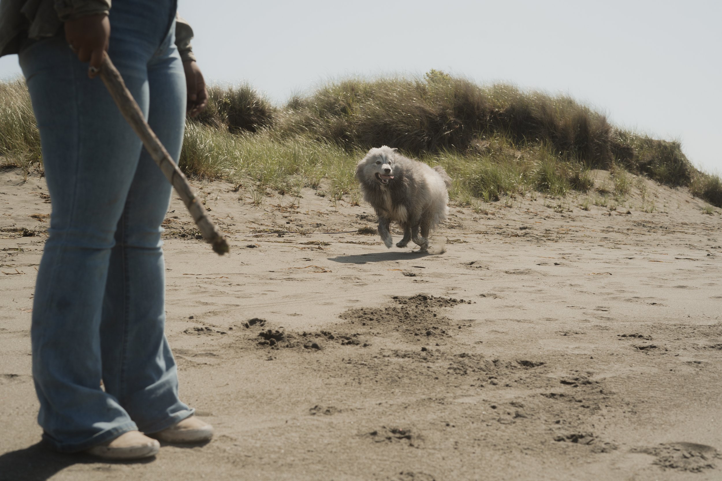 Pets-76.jpg