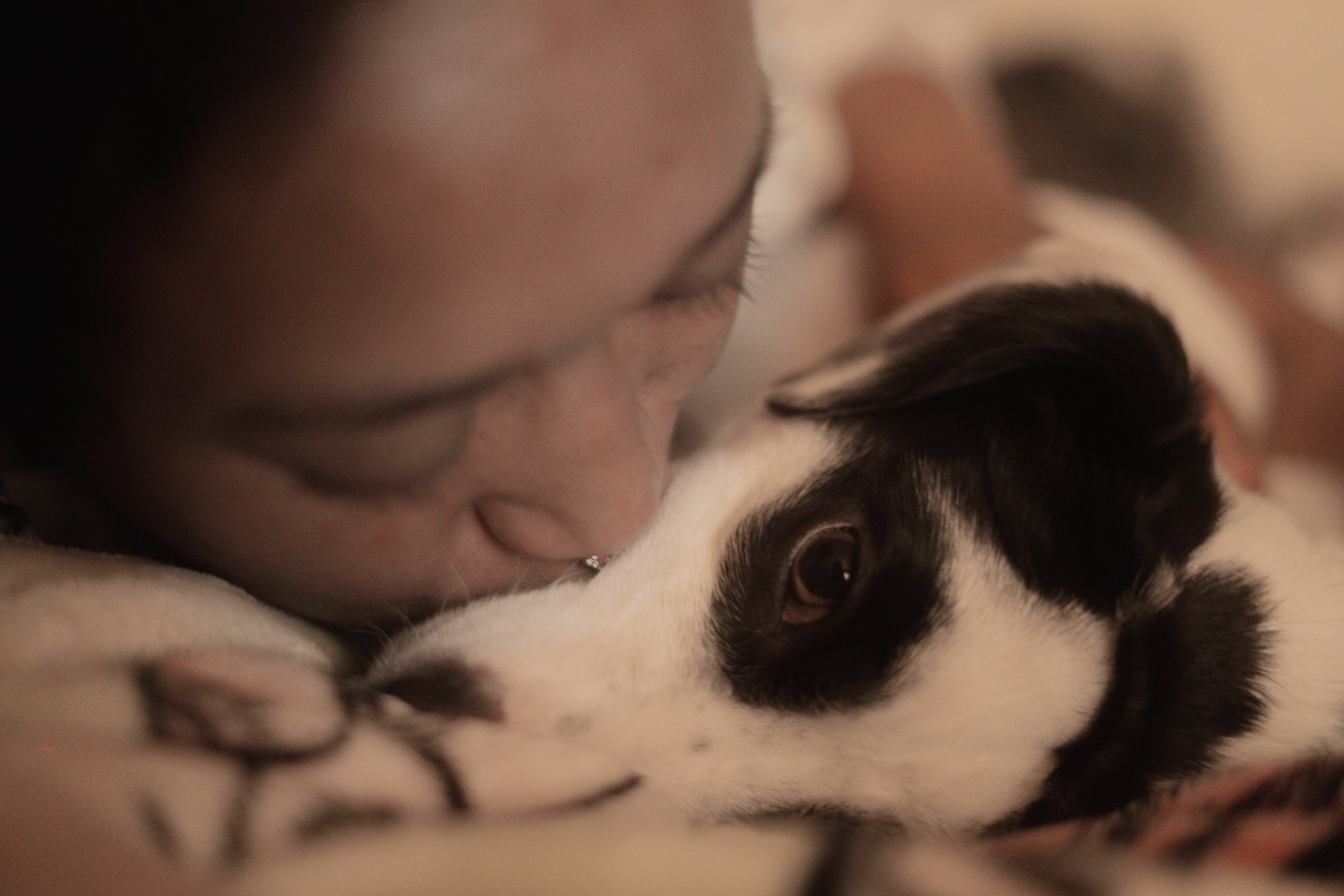 Pets-246.jpg