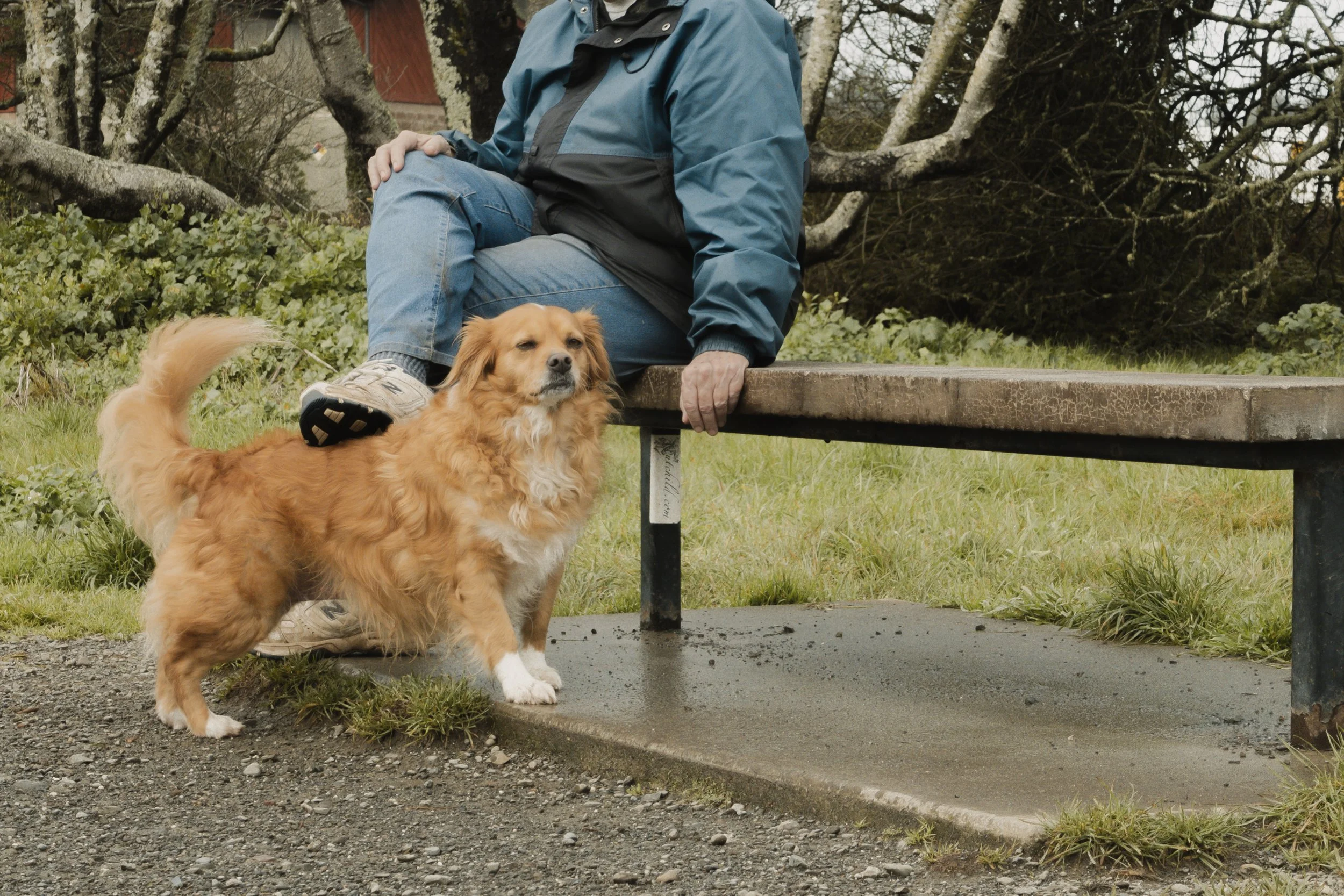 Pets-42.jpg