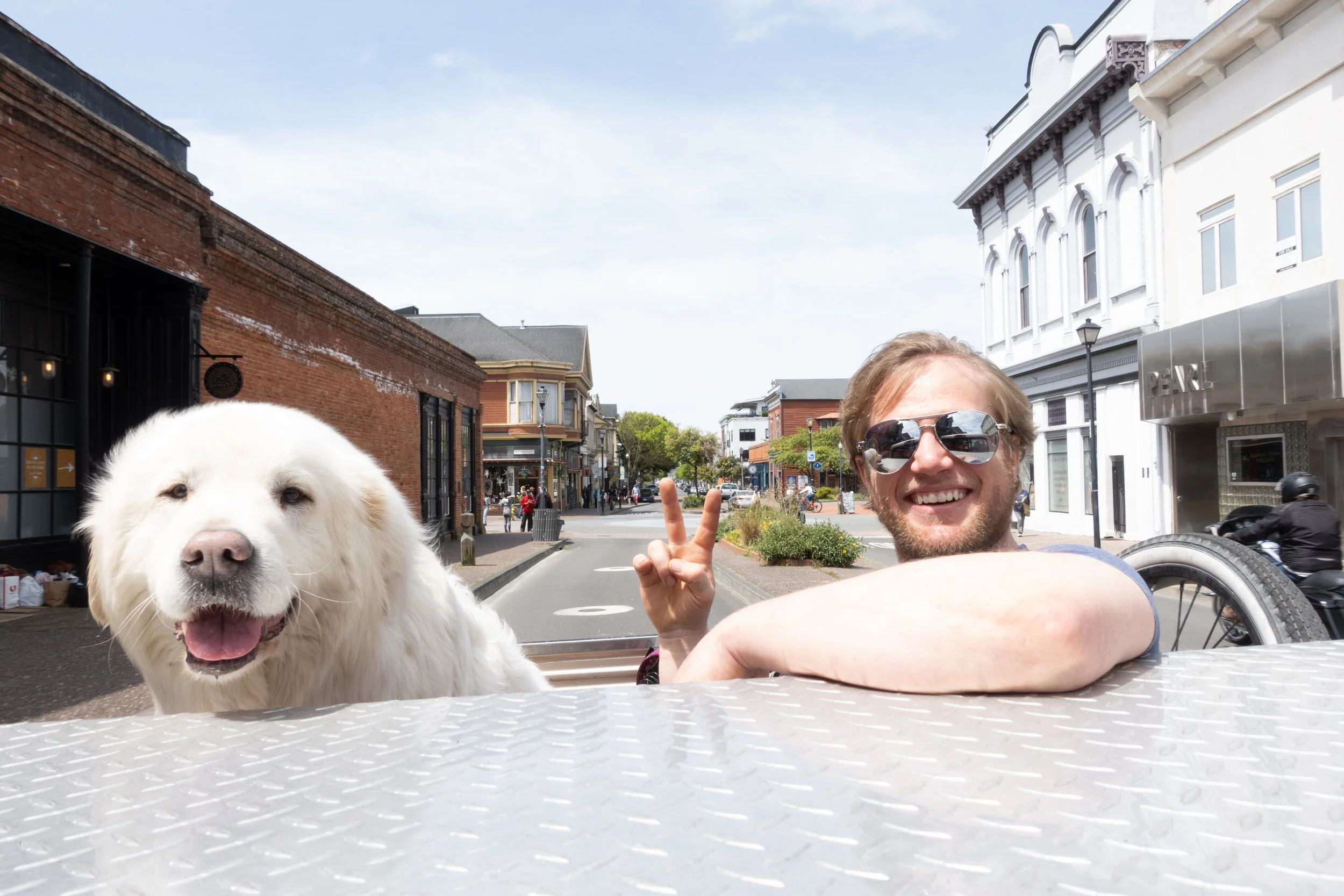 Pets-219.jpg