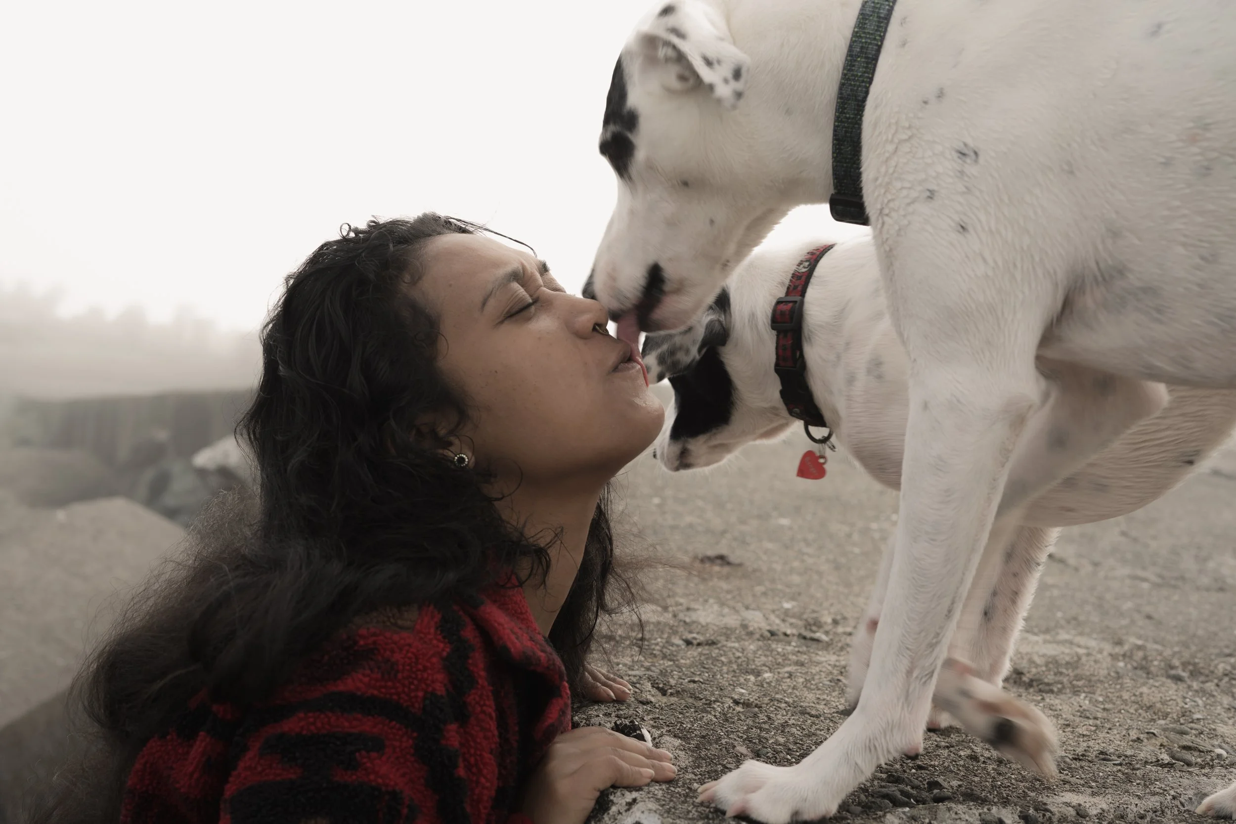 Pets-229.jpg