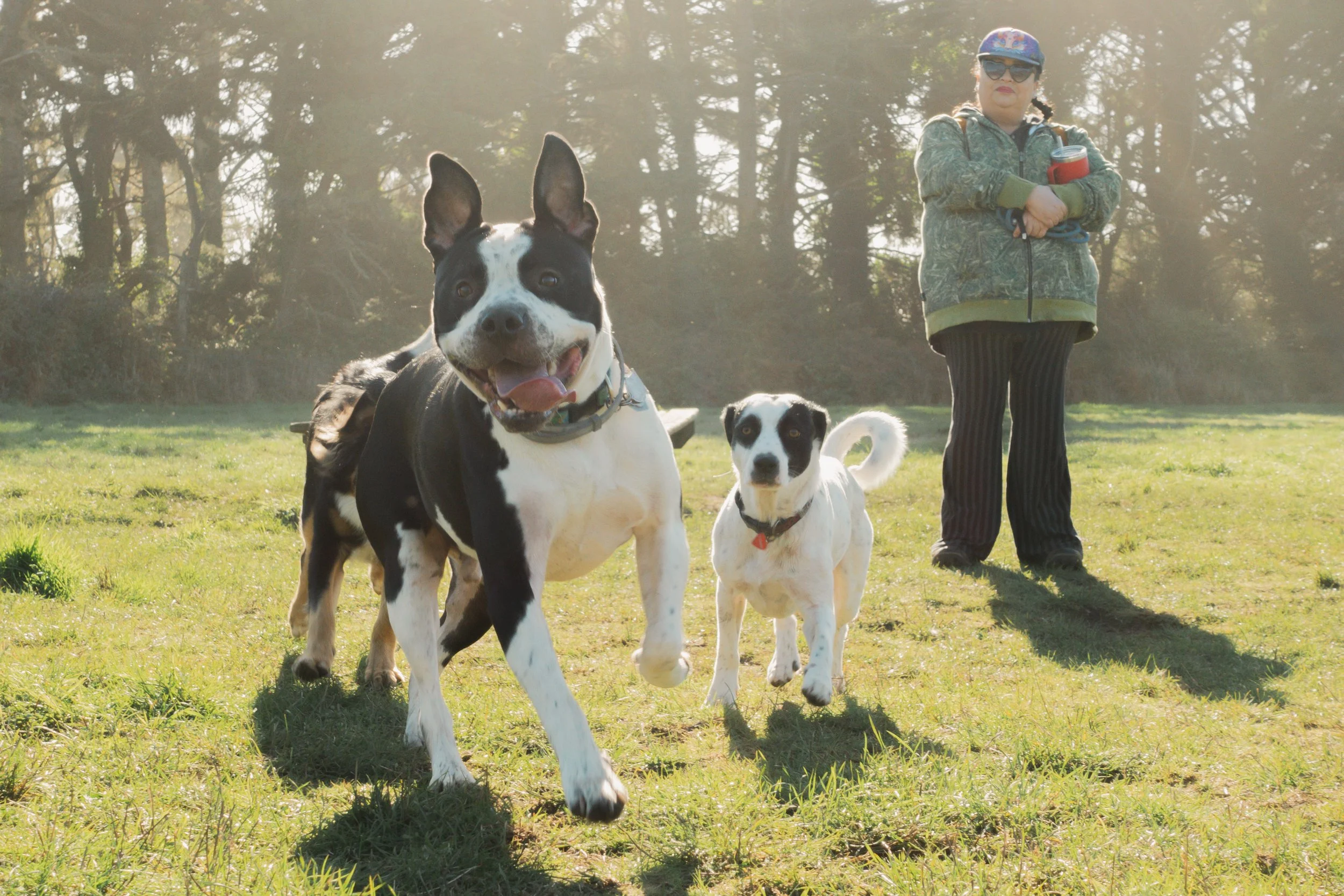 Pets-76.jpg
