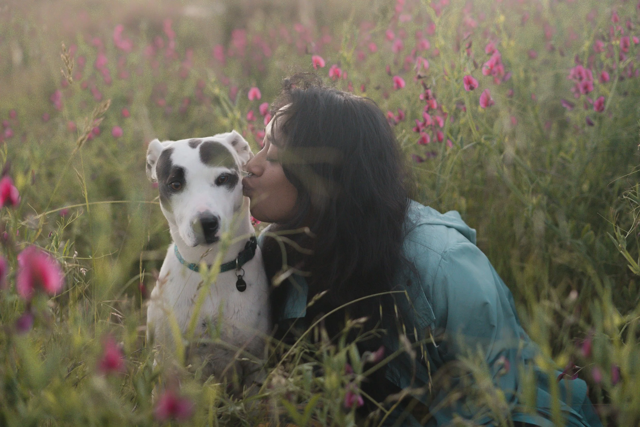 Pets-228.jpg