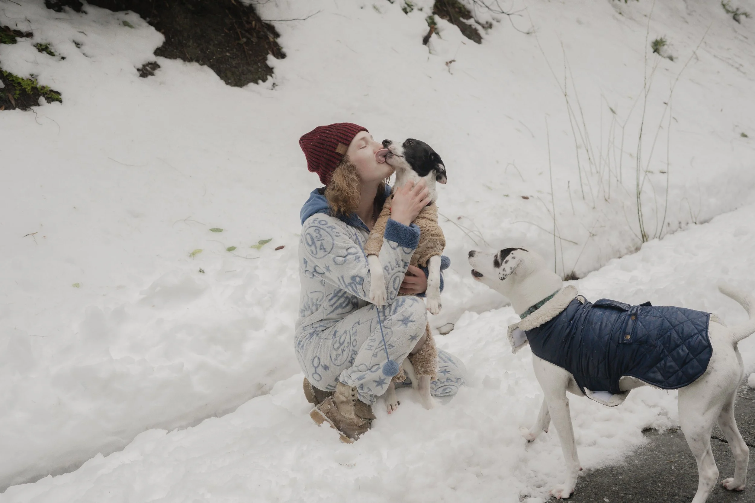 Pets-240.jpg