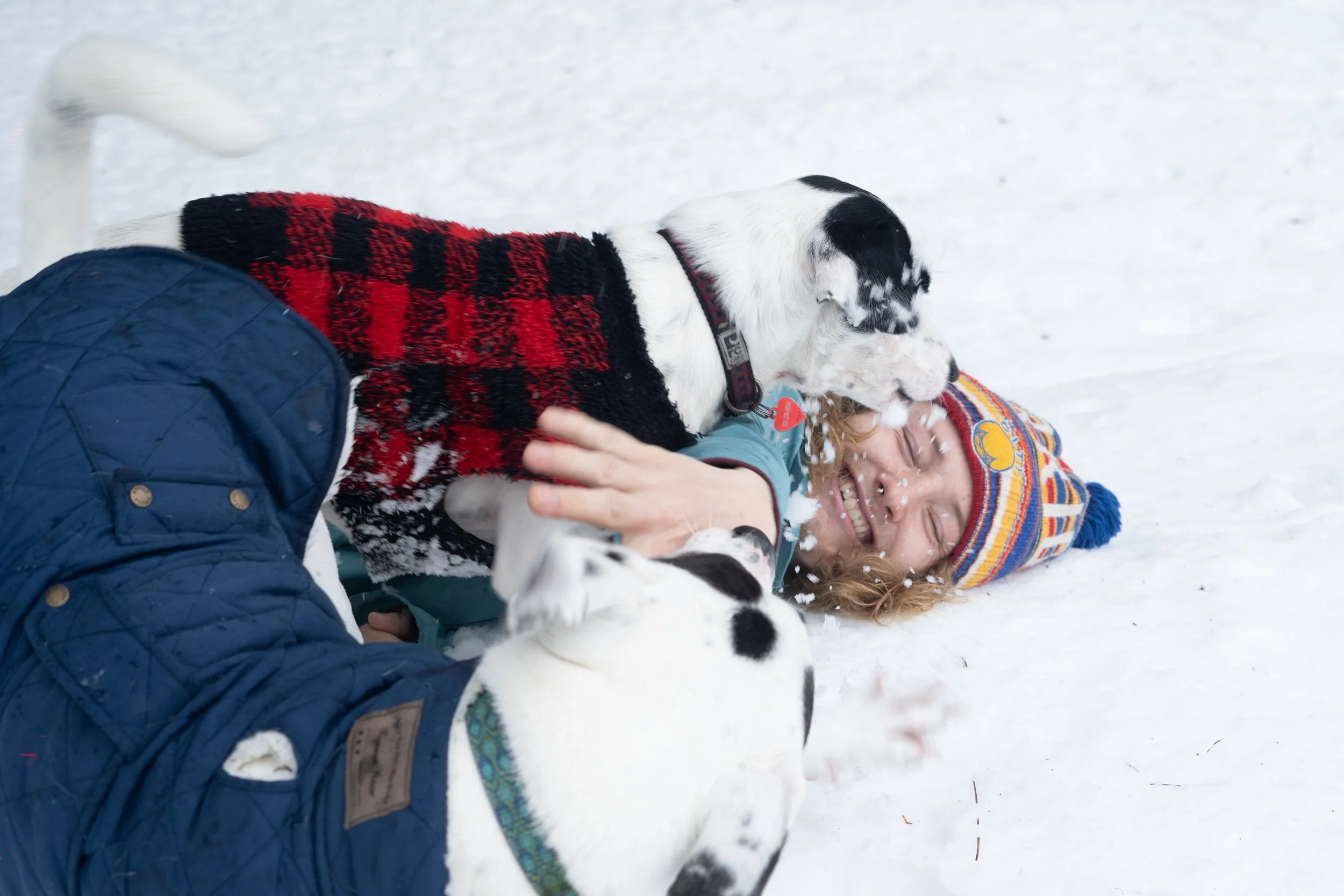 Pets-109.jpg
