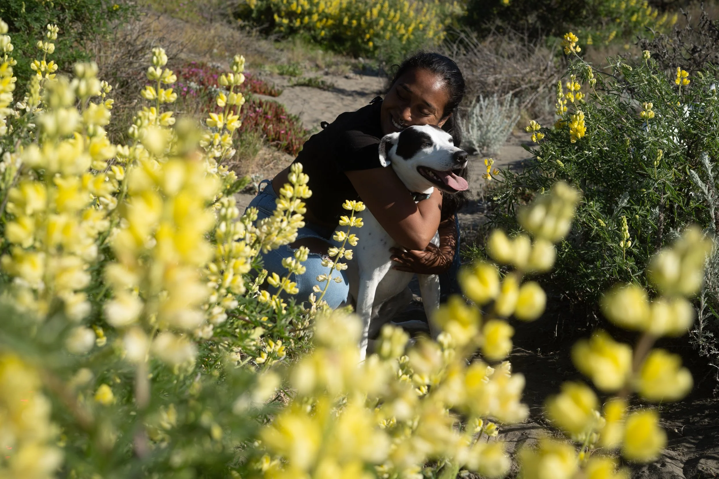 Pets-207.jpg