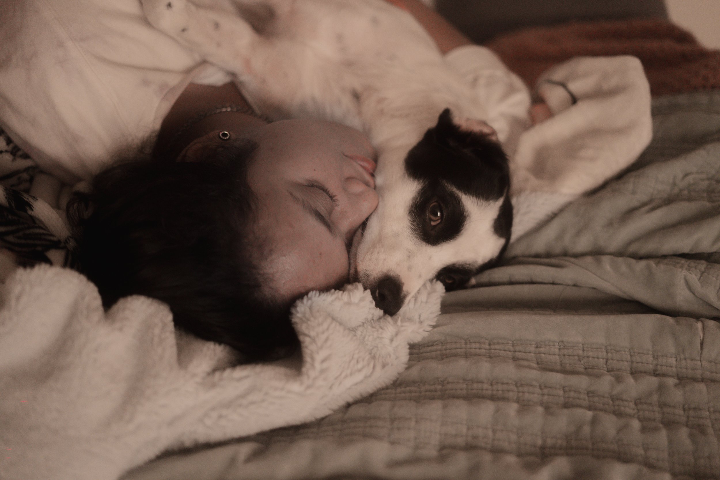 Pets-243.jpg