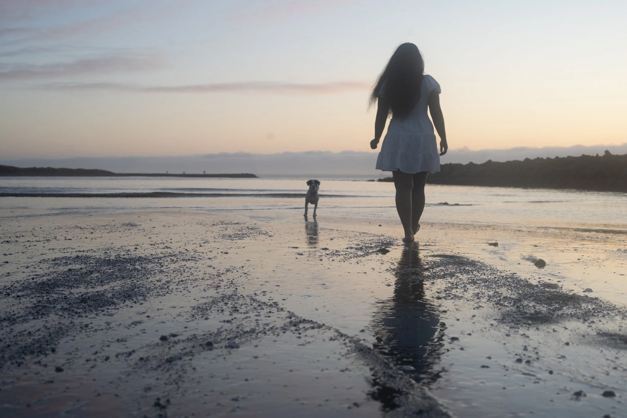 Pets-202.jpg