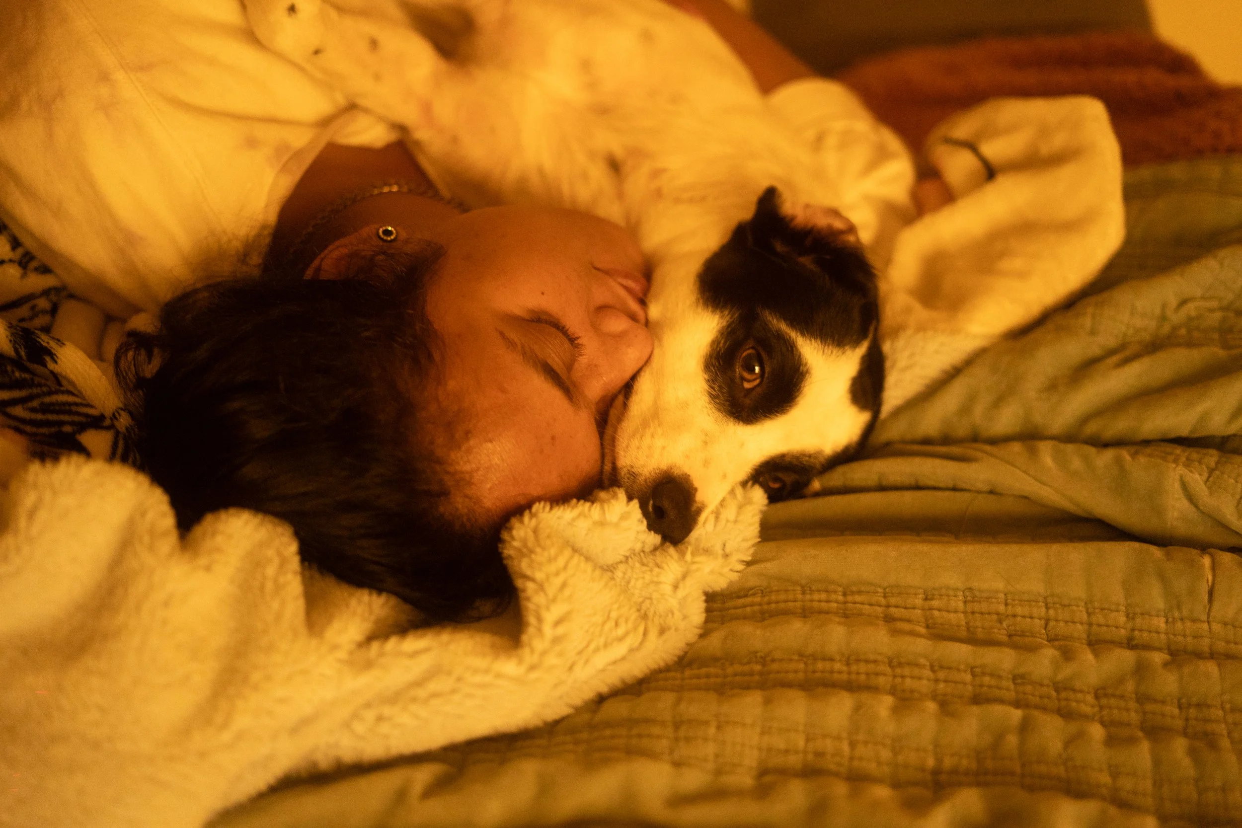 Pets-157.jpg