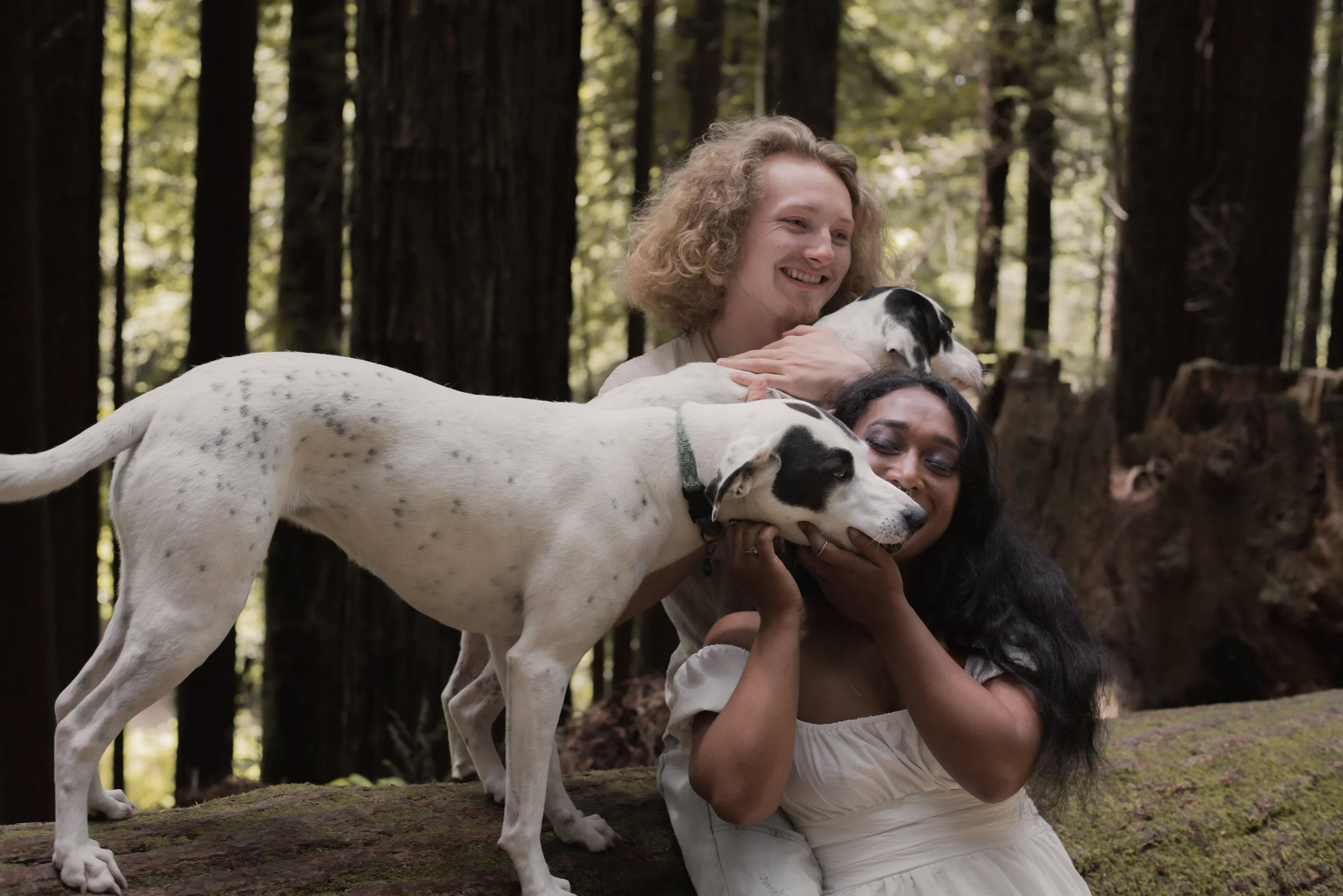 Pets-221.jpg