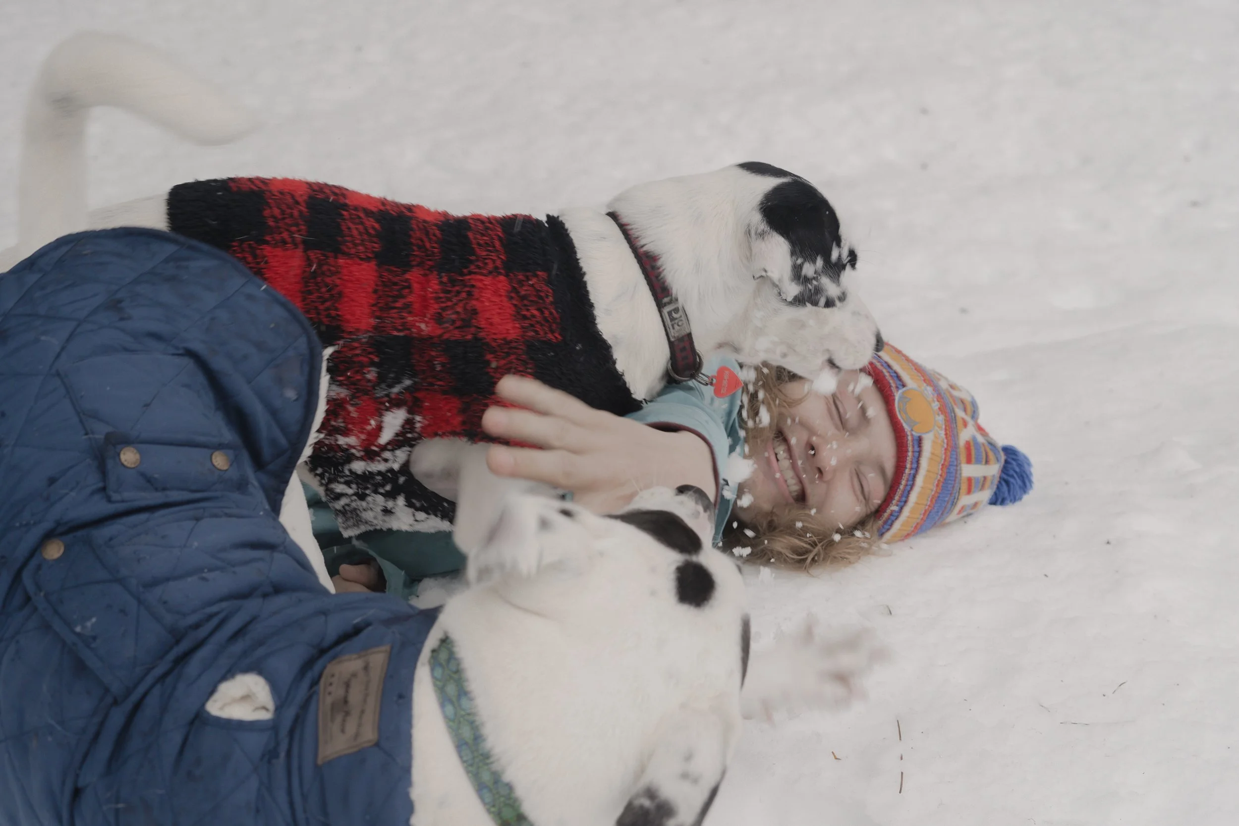 Pets-232.jpg