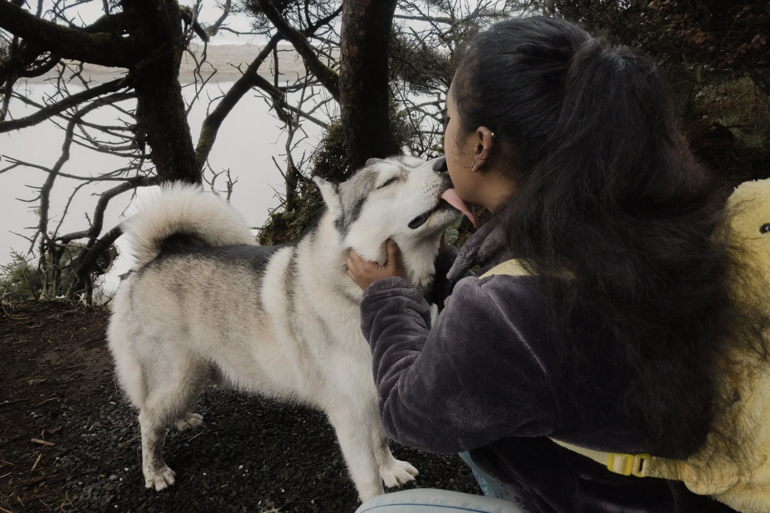 Pets-43.jpg