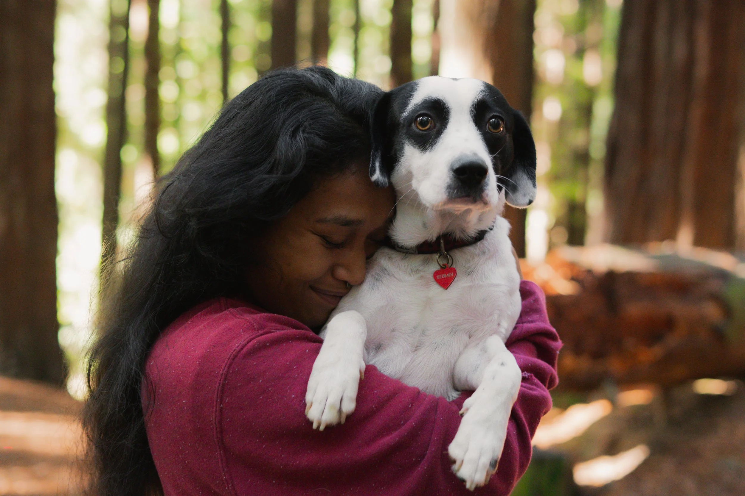 Pets-48.jpg
