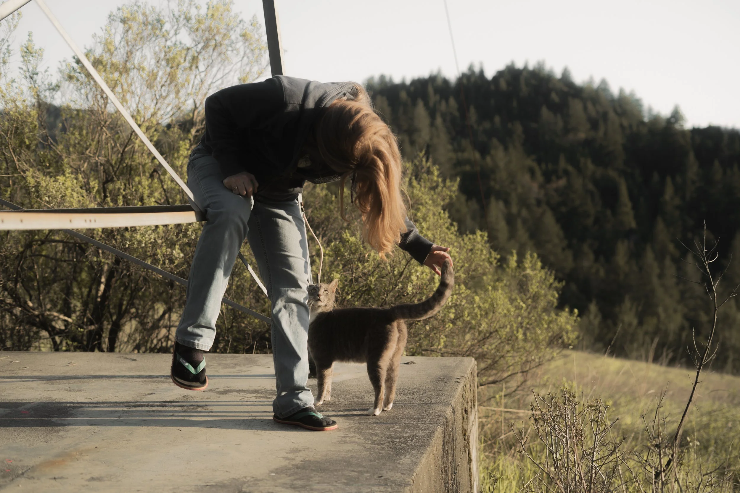 Pets-64.jpg