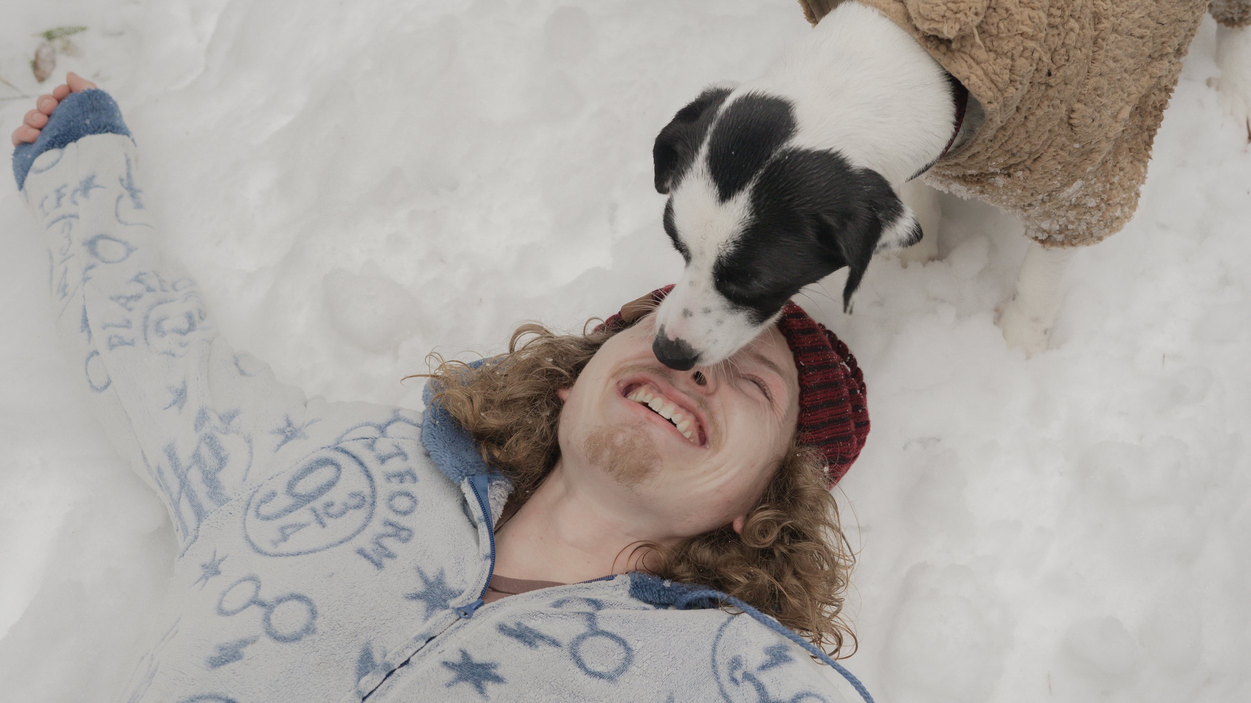 PetCollageOrdered_14.jpg