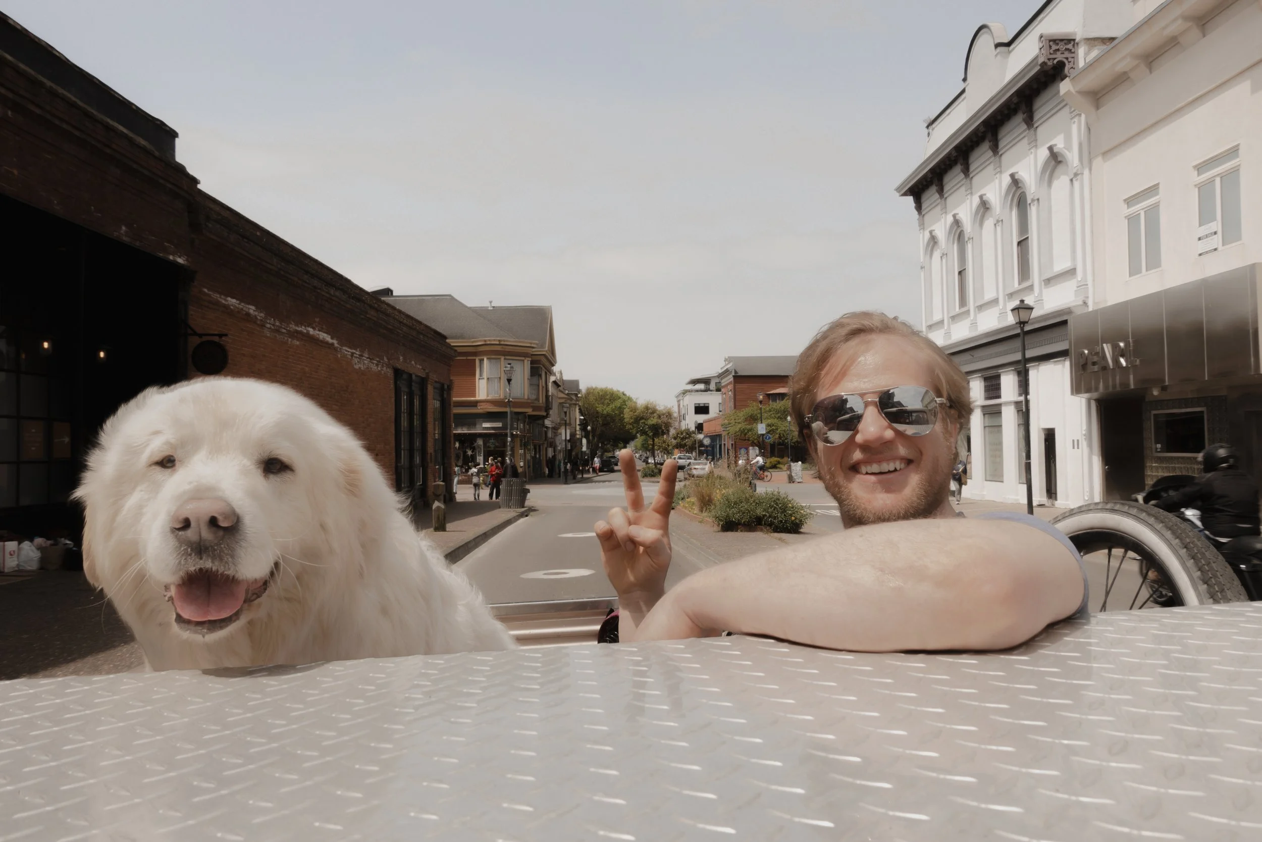 Pets-91.jpg