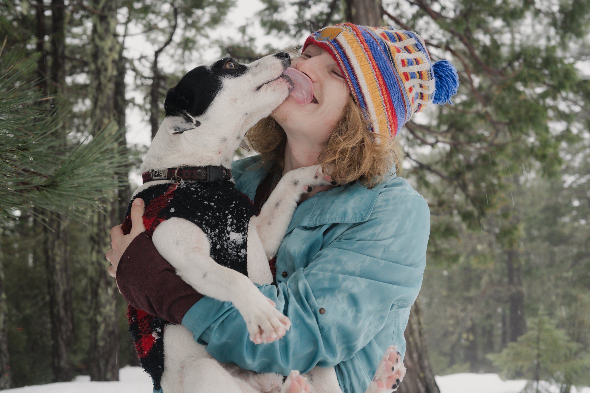 Pets-113.jpg