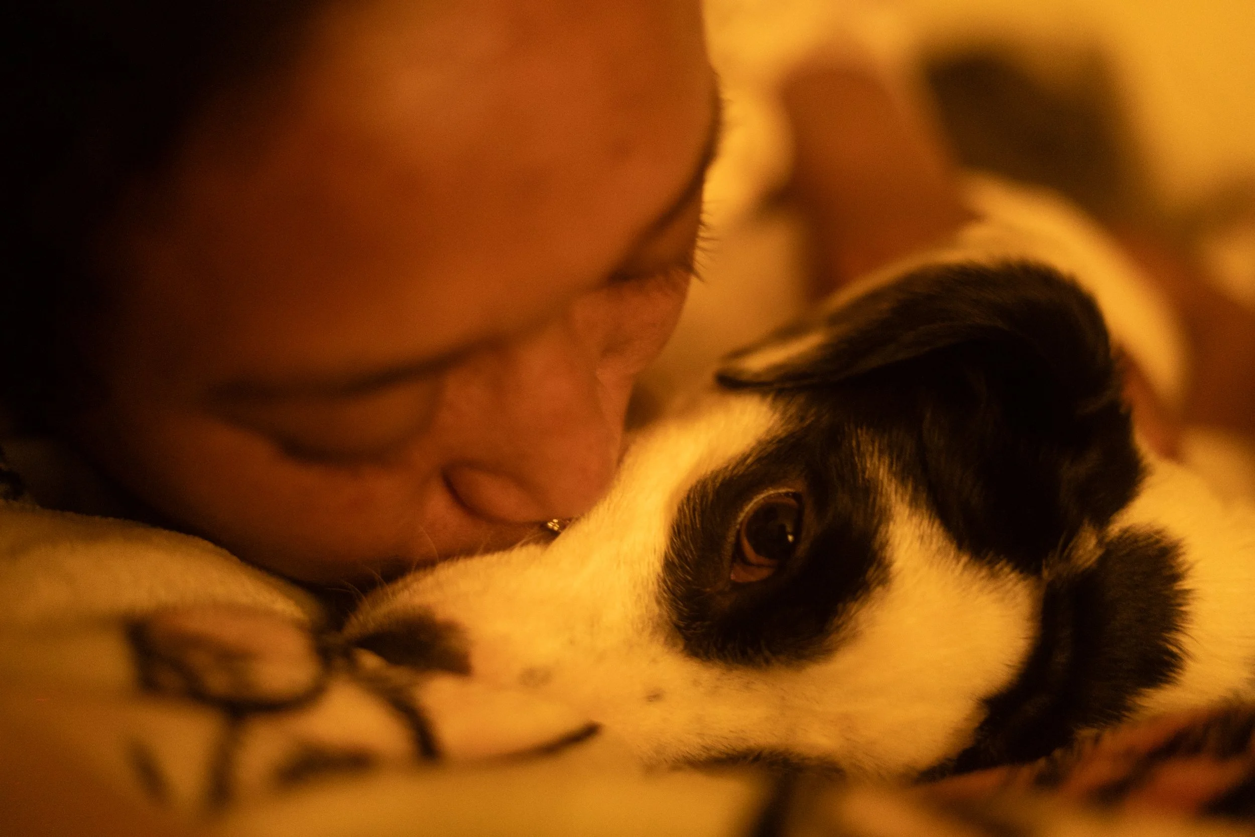 Pets-160.jpg