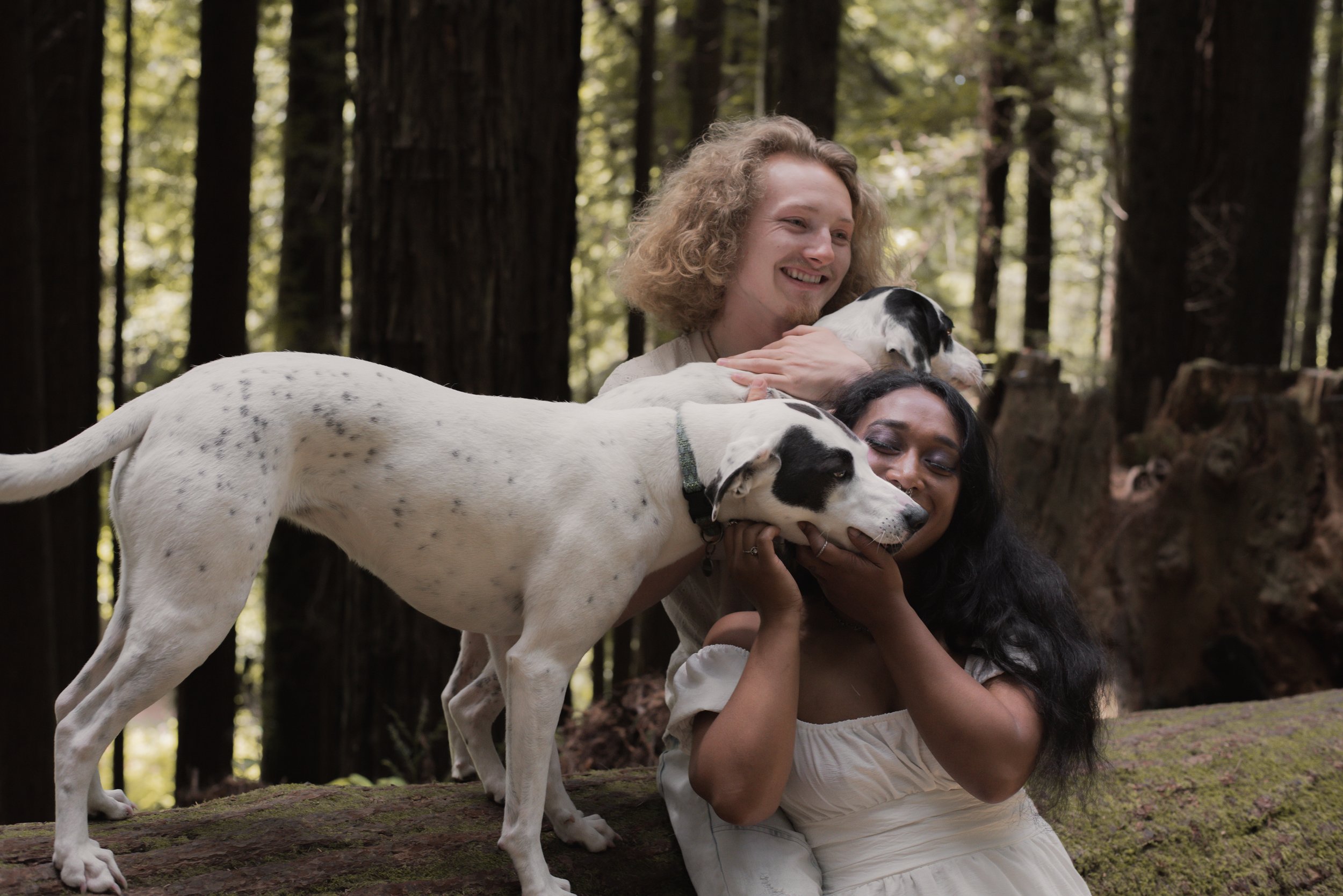 Pets-223.jpg