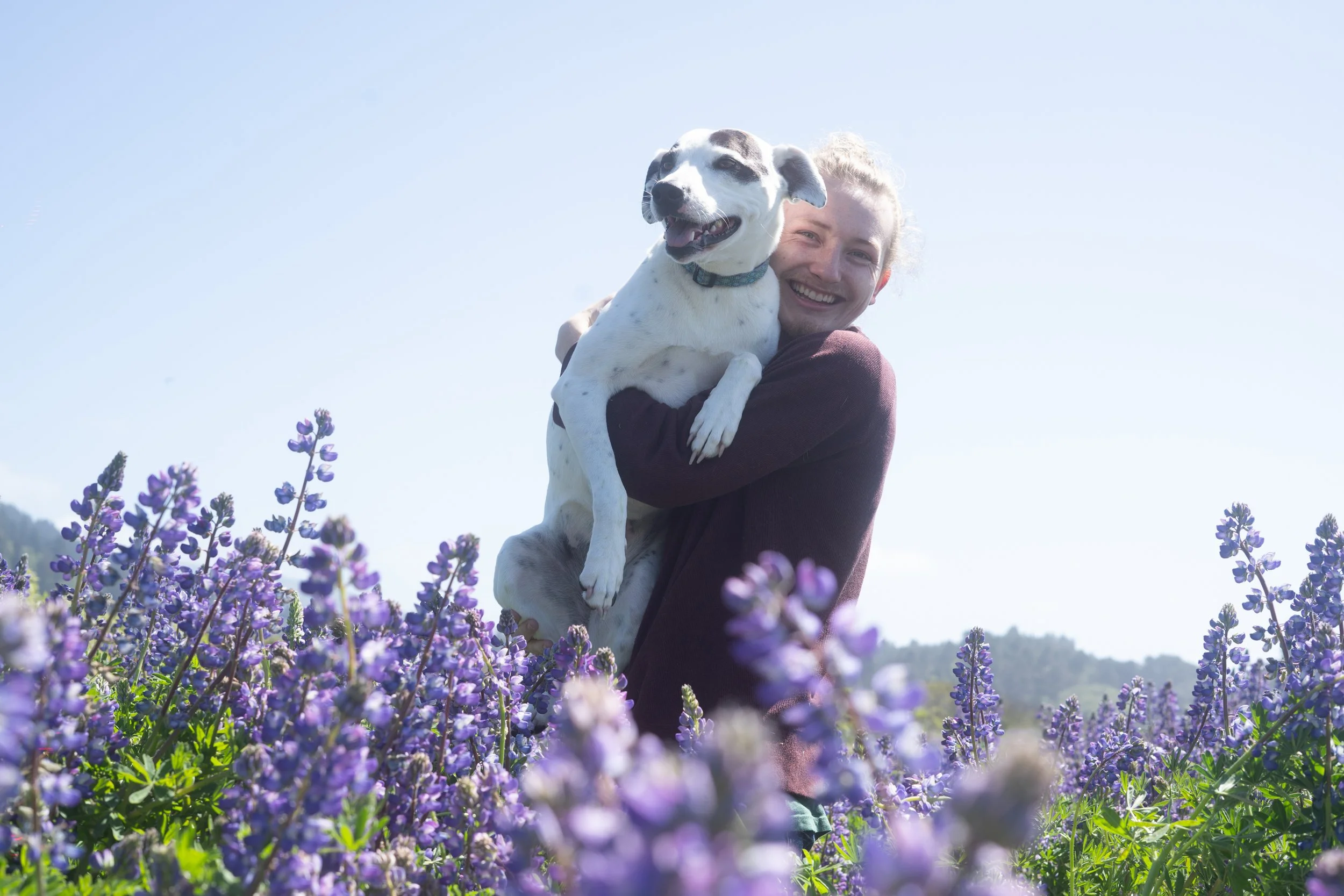 Pets-190.jpg