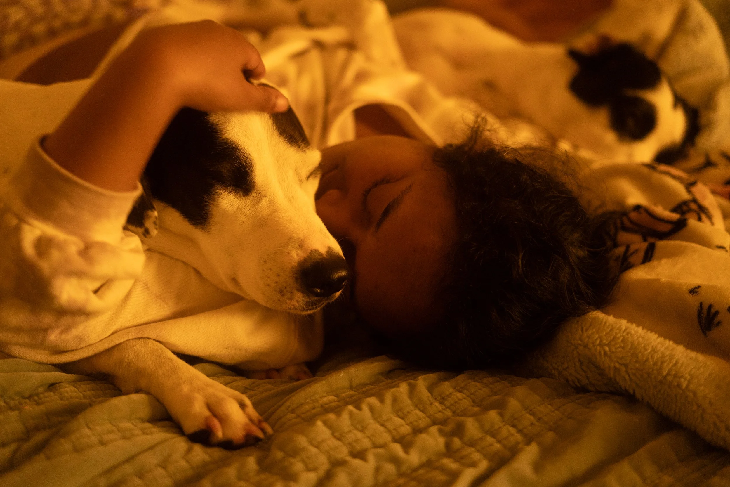 Pets-162.jpg