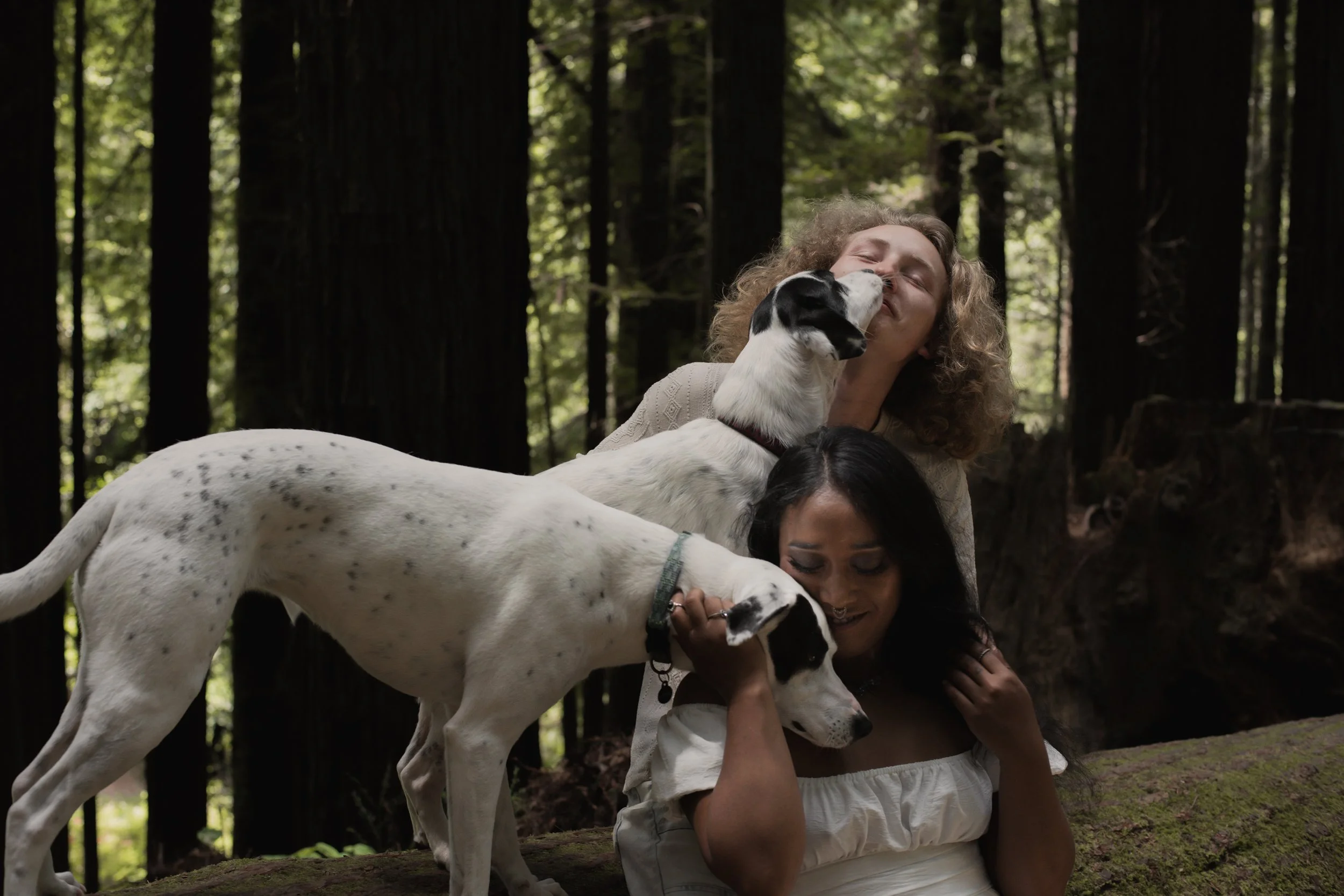 Pets-222.jpg