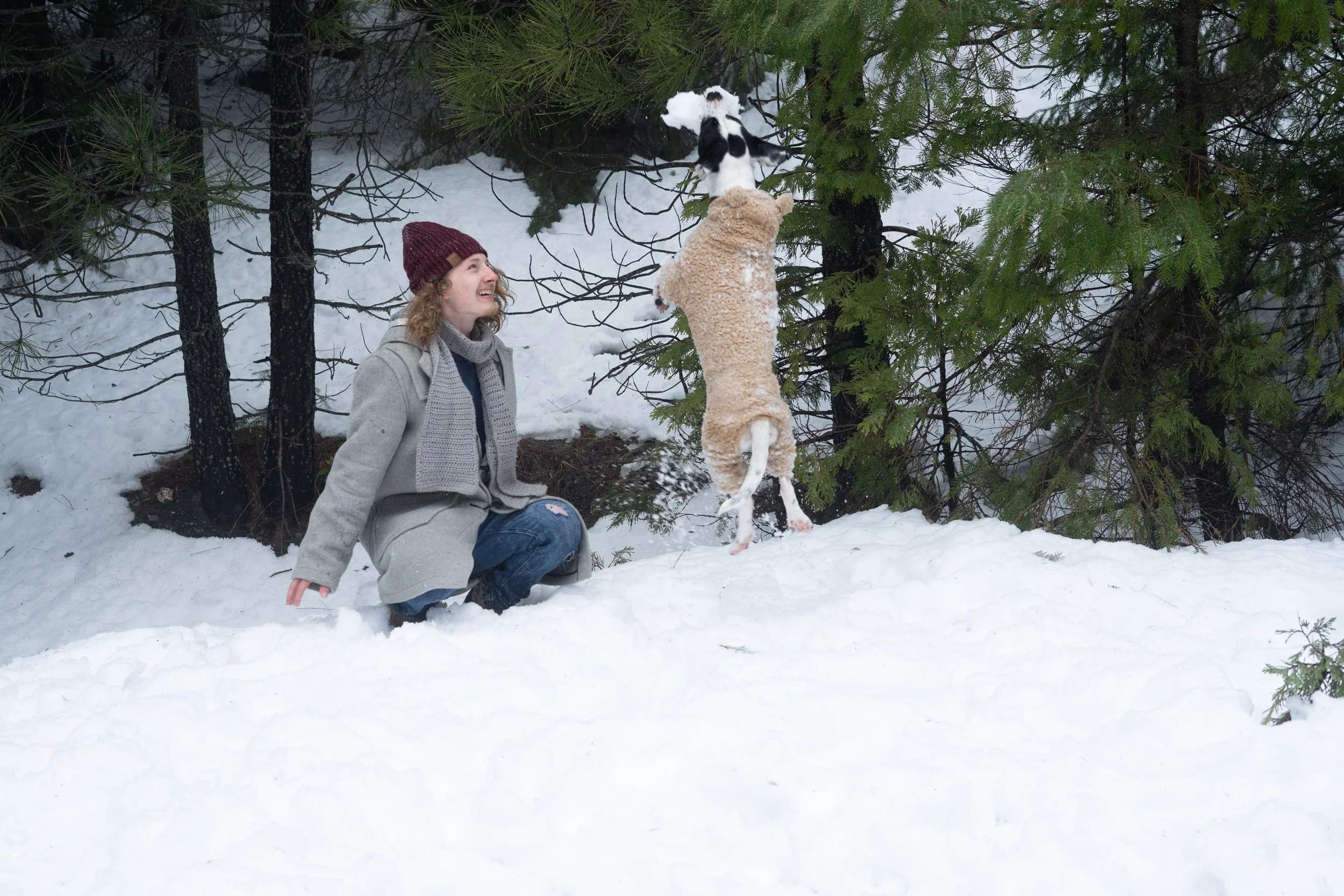Pets-141.jpg