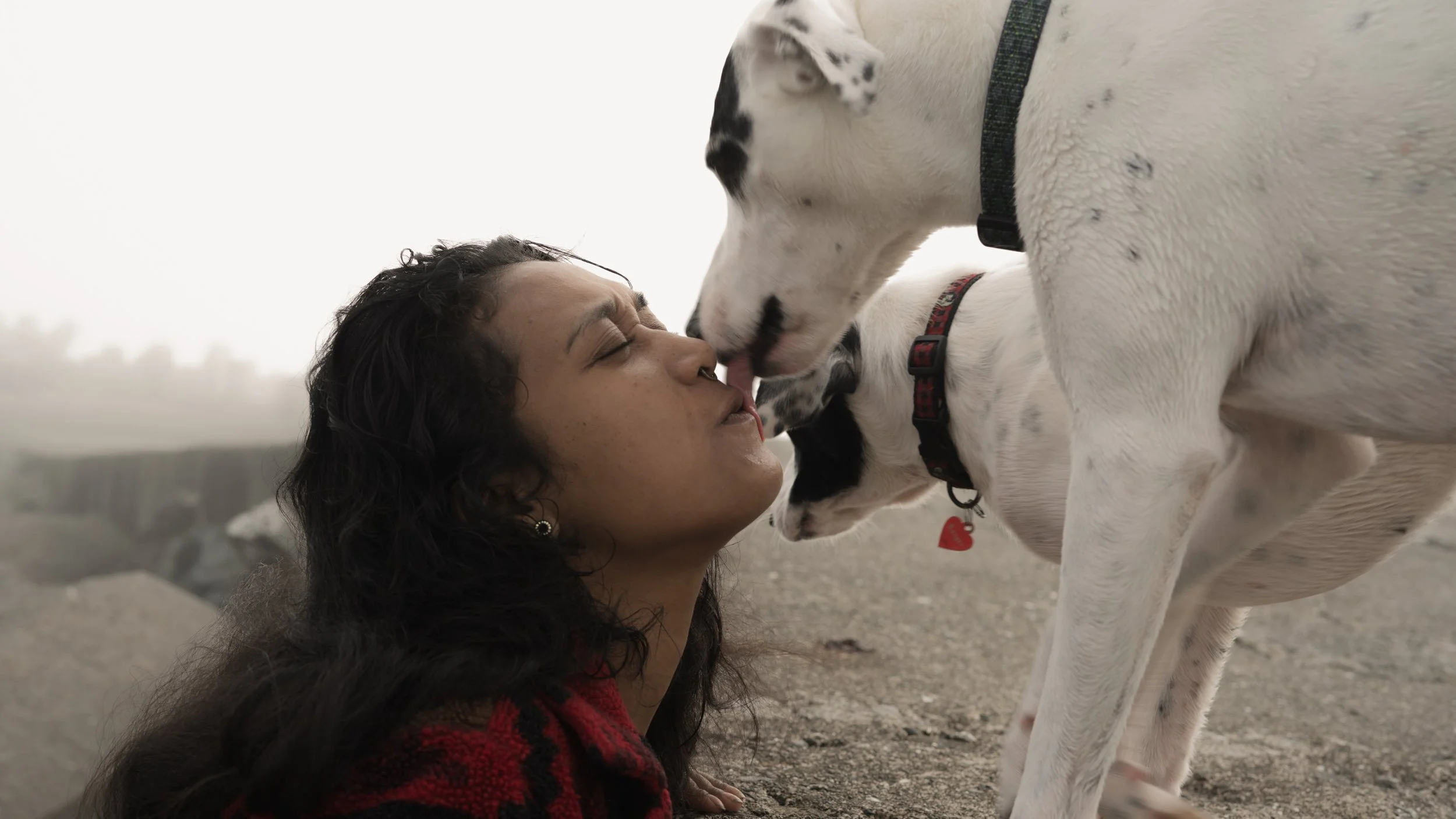 PetCollageOrdered_28.jpg