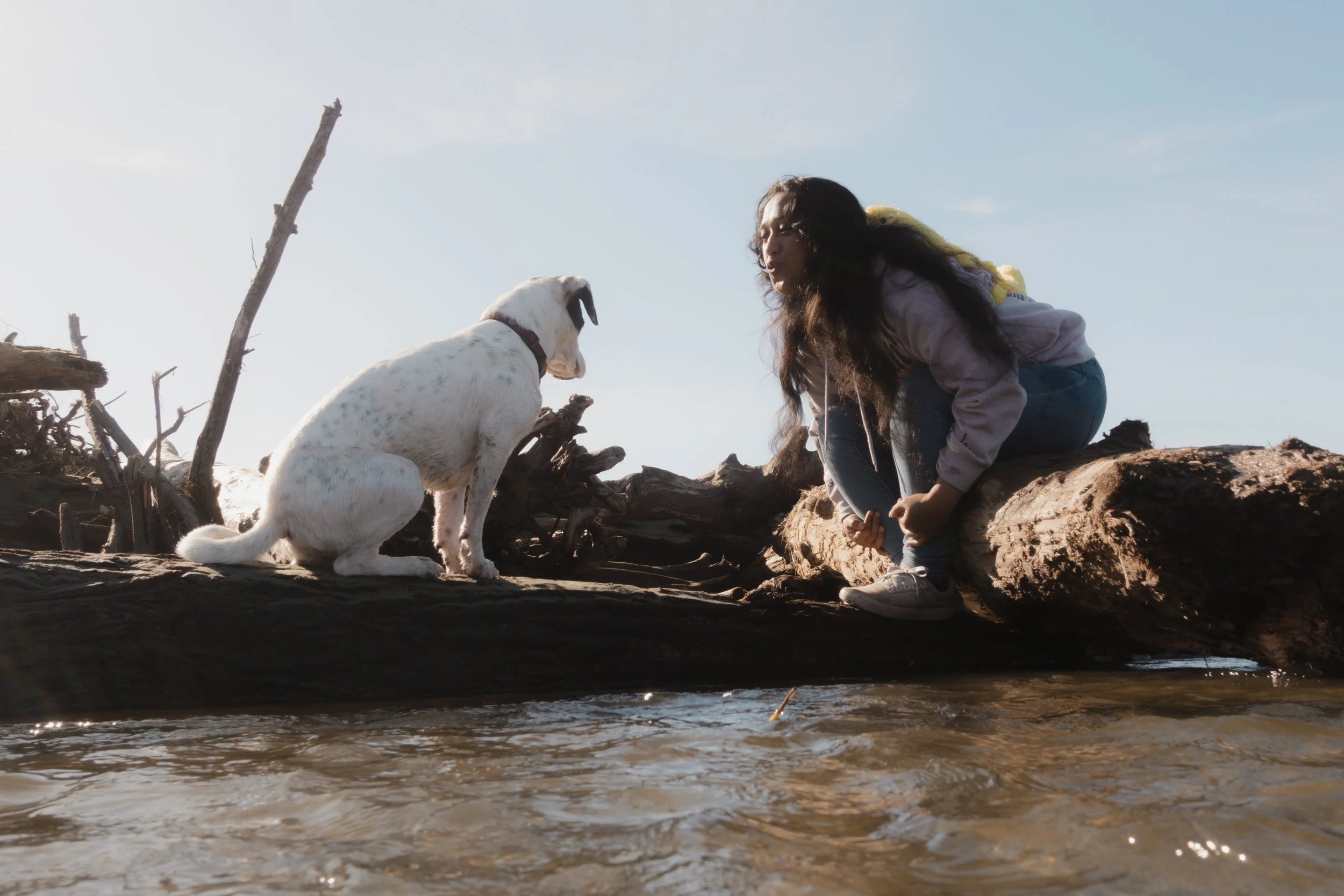 Pets-231.jpg