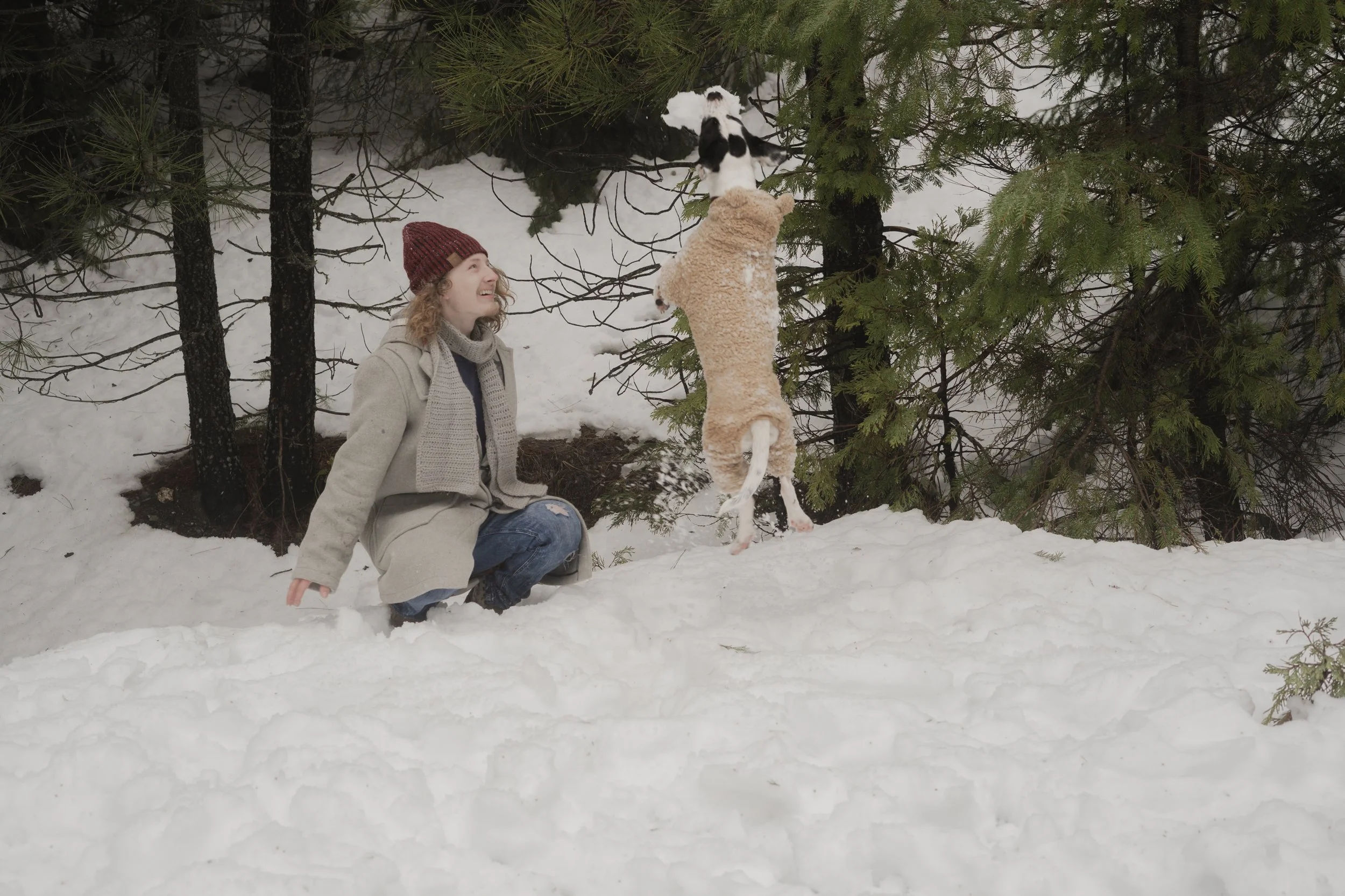 Pets-239.jpg