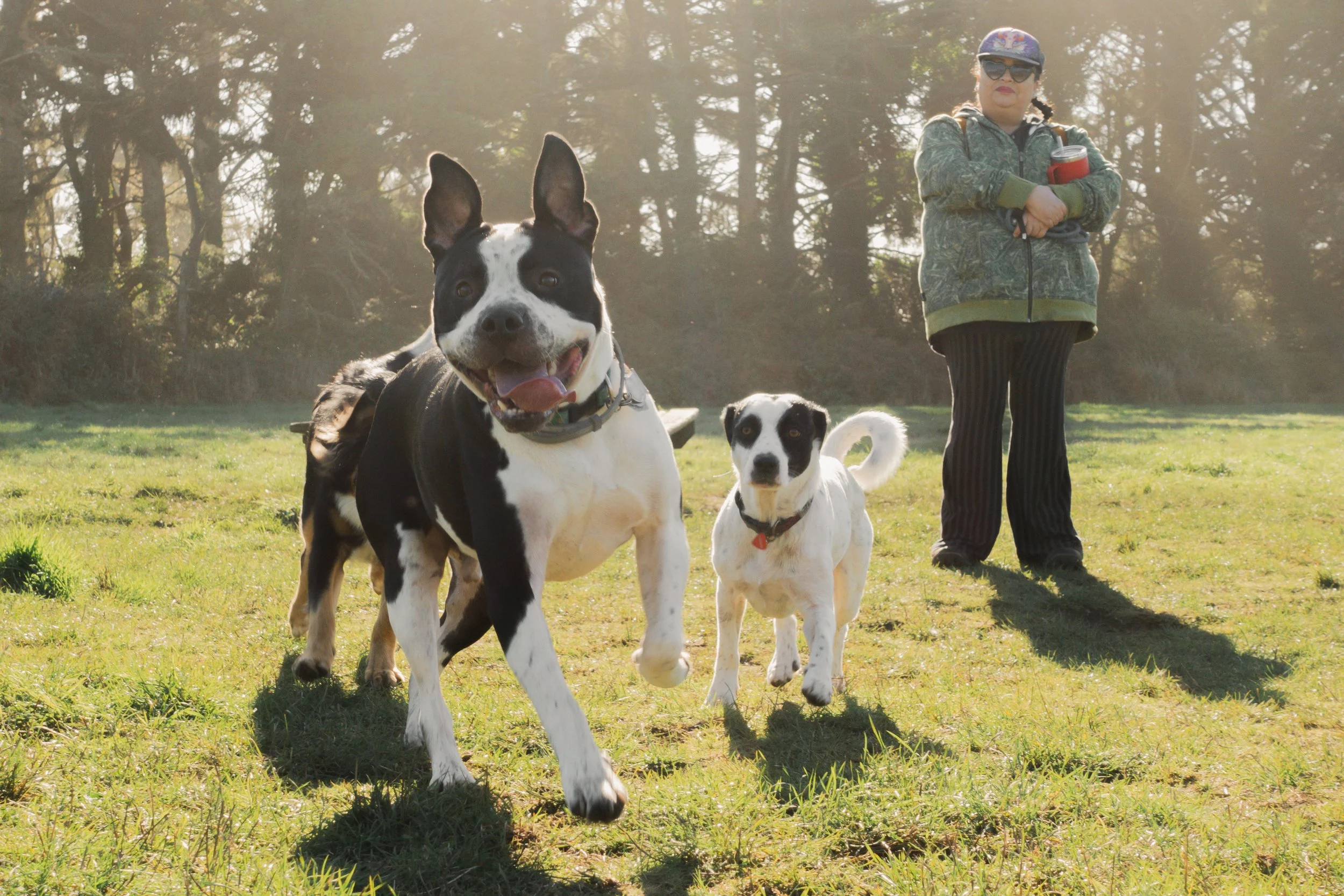 Pets-30.jpg