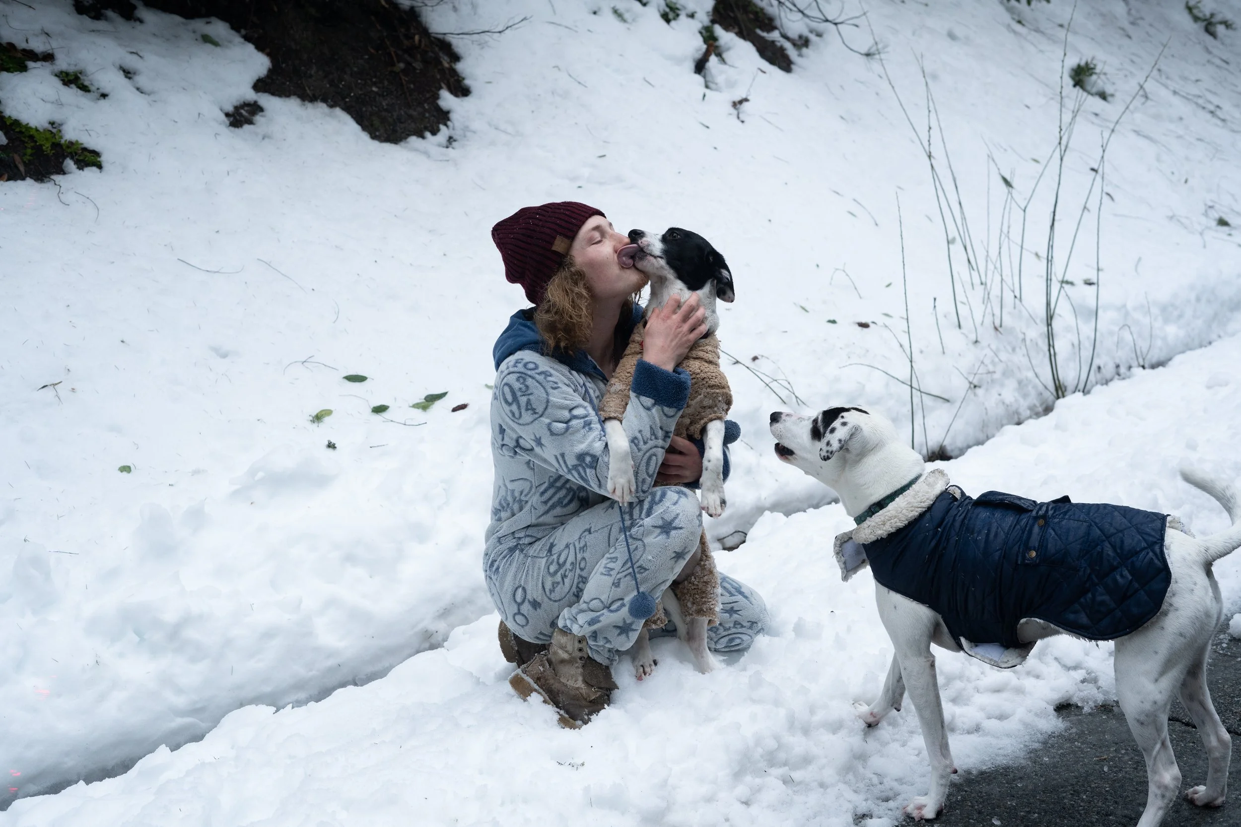 Pets-142.jpg