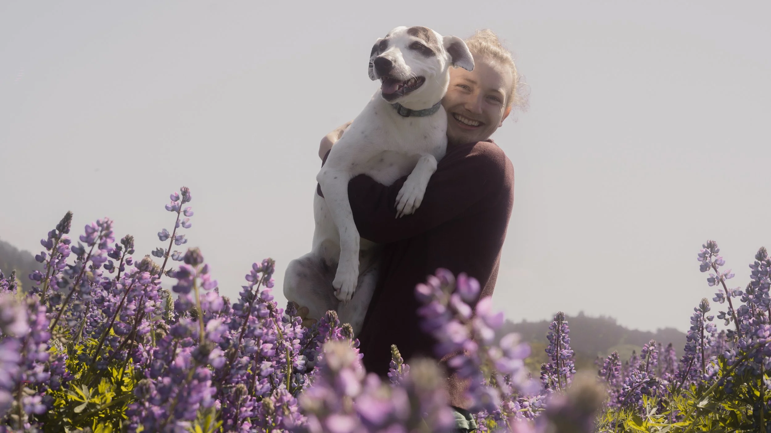 PetCollageOrdered_25.jpg